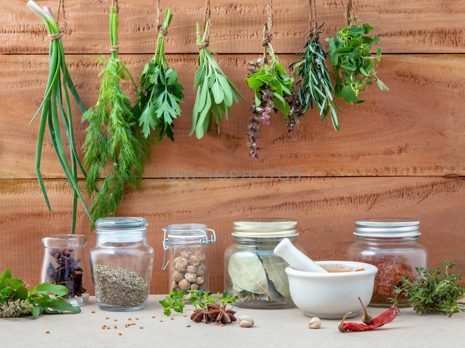 Assorted hanging herbs ,parsley ,oregano,sage,rosemary,sweet basil,dill,spring onion  and  set up with dry and fresh thyme,chili,bay leaves,white mortar  and star anise  for seasoning concept on rustic old wooden background.