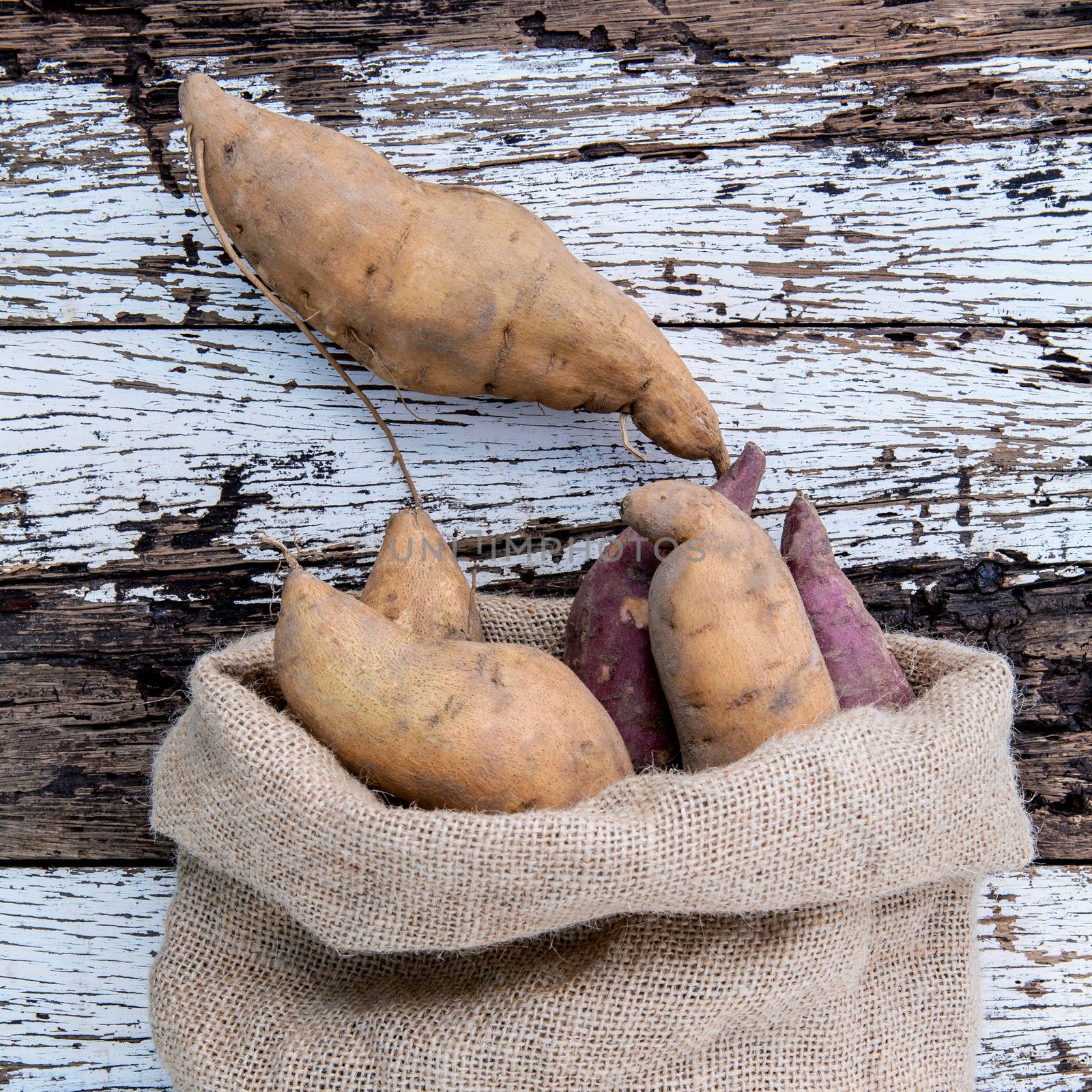 Harvested organic sweet potatoes in a hemp sack bag on rustic wo by kerdkanno