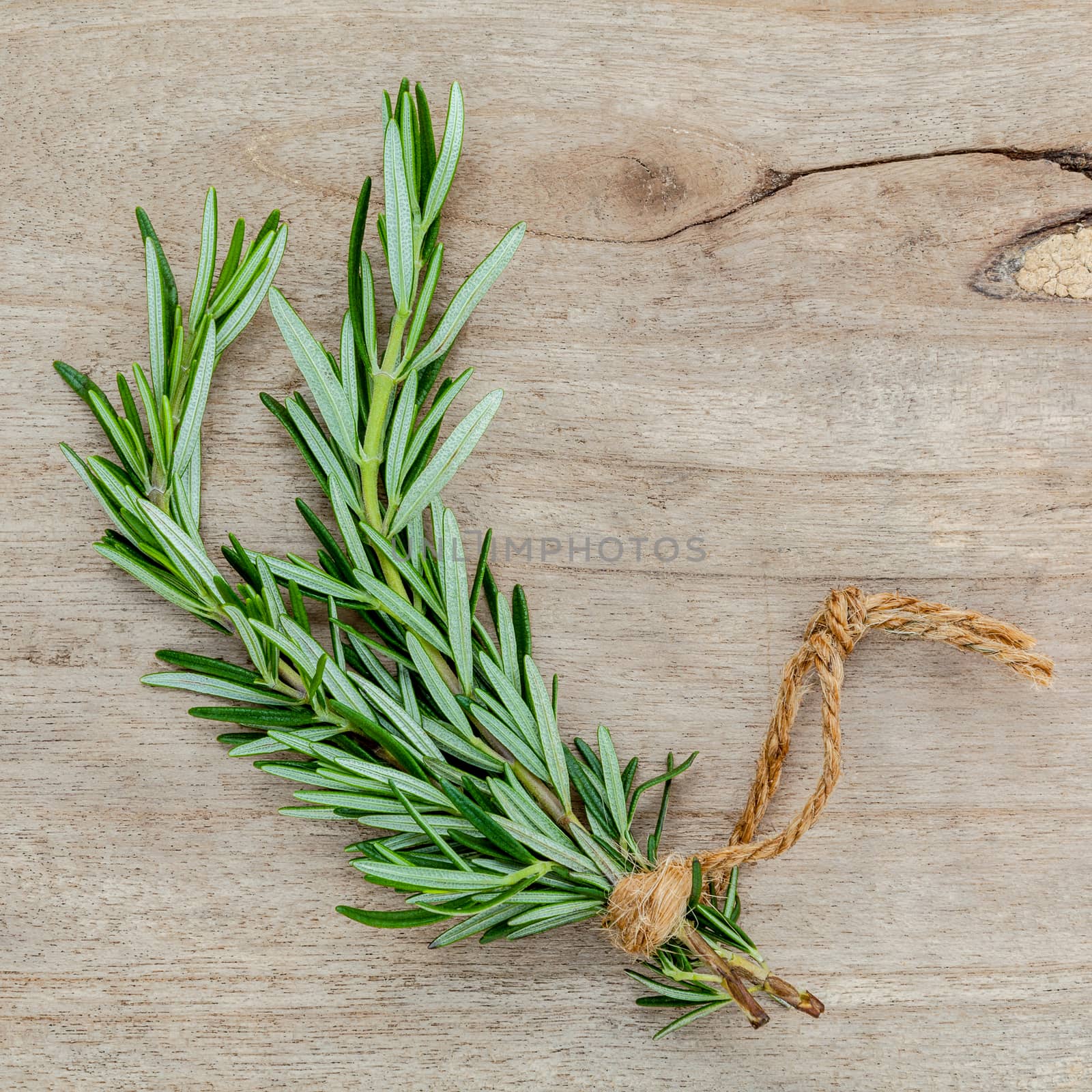 Close up branch of fresh rosemary for seasoning concept on rustic old wooden background.