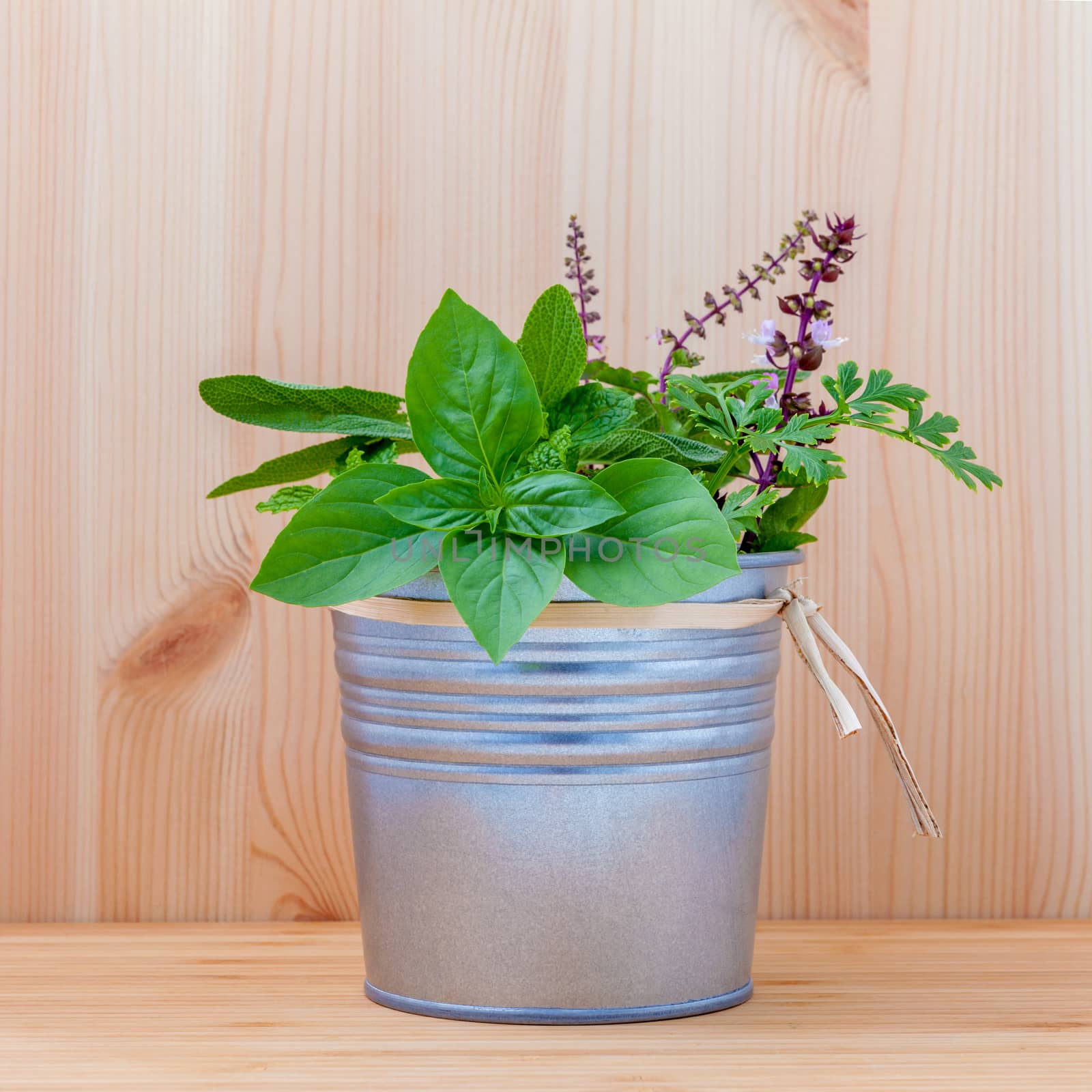 The fresh herbs from the garden set up in metal pot on white wooden background.