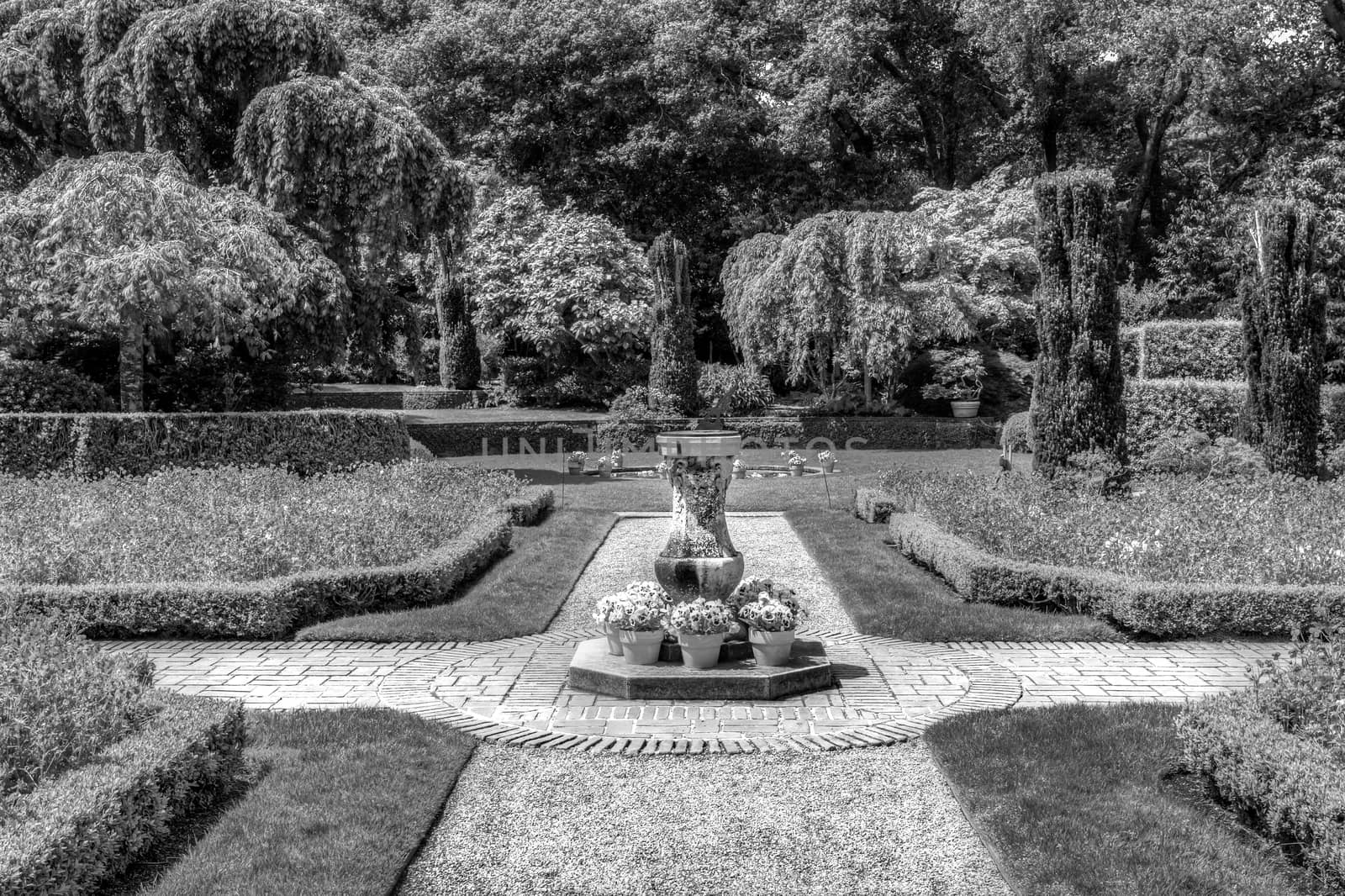 Formal English Garden Path in Black and White by wolterk