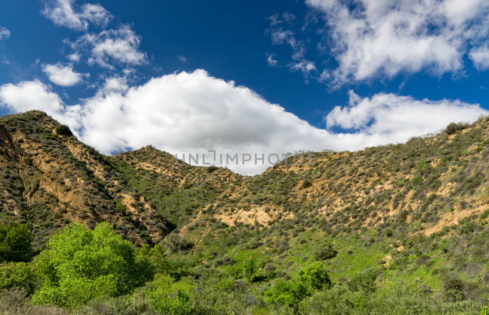 Mountains at Towsley Canyon in Southern California by wolterk