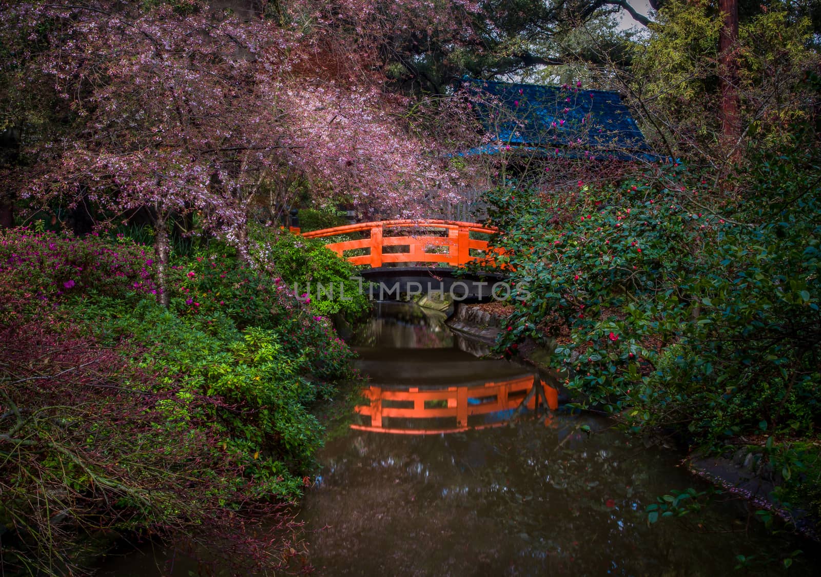 Orange Bridge over Pond by wolterk