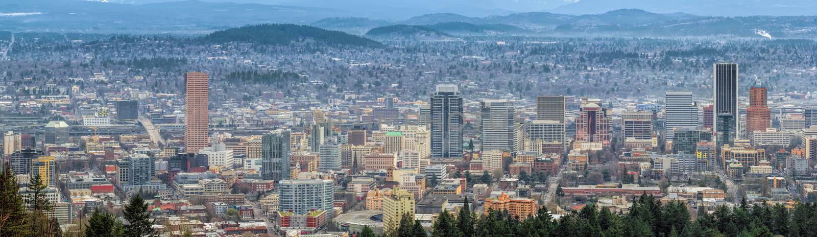 Portland Oregon Cityscape Panorama by jpldesigns