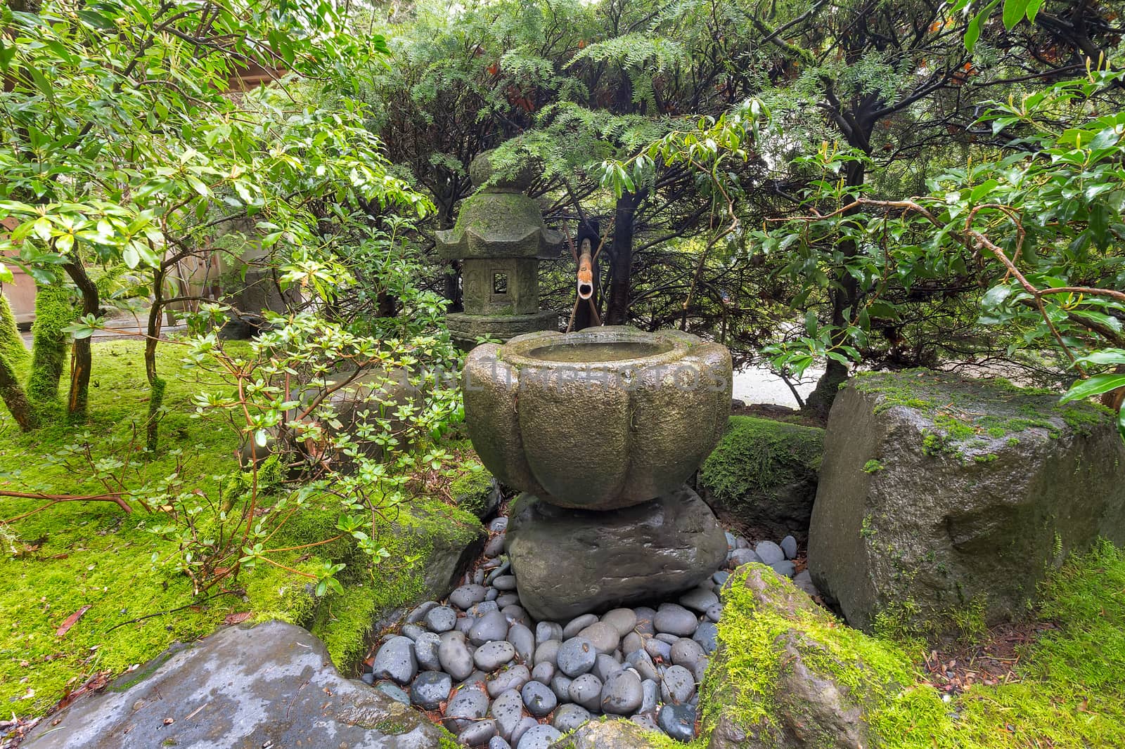Tsukubai Water Fountain with Bamboo Kakeki and Stone Lantern at Japanese Garden in Spring