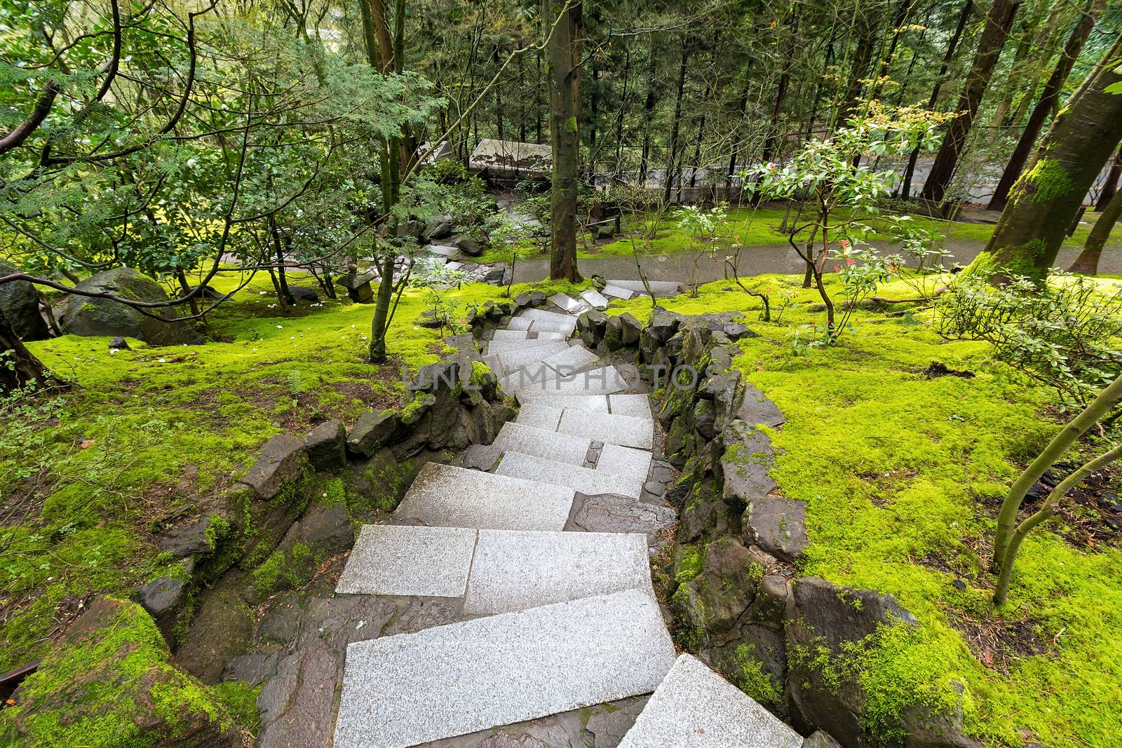 Granite Stone Steps along Mossy Green Landscape by jpldesigns