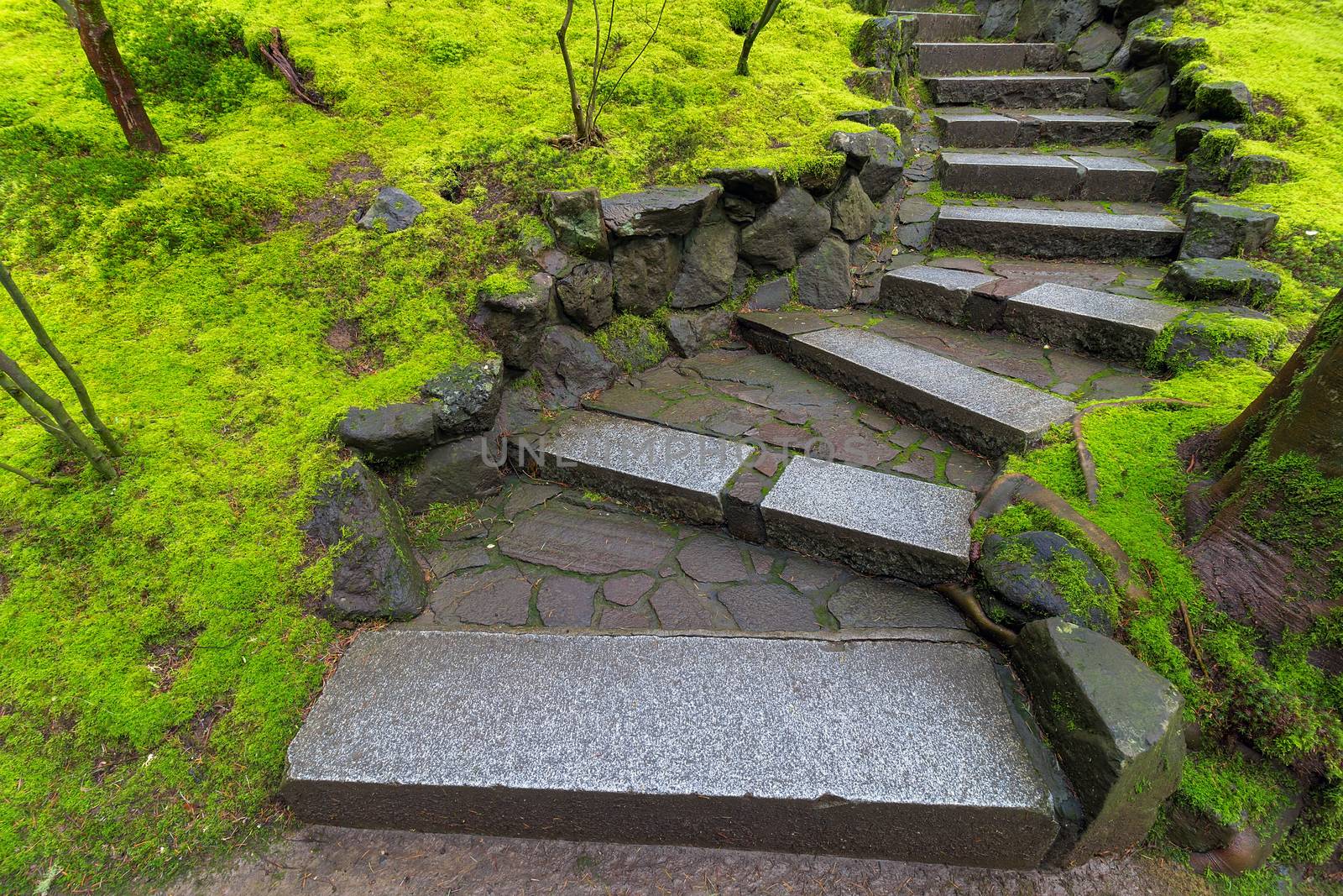 Granite Stone Steps with green moss covered landscape at Japanese Garden during Spring Season