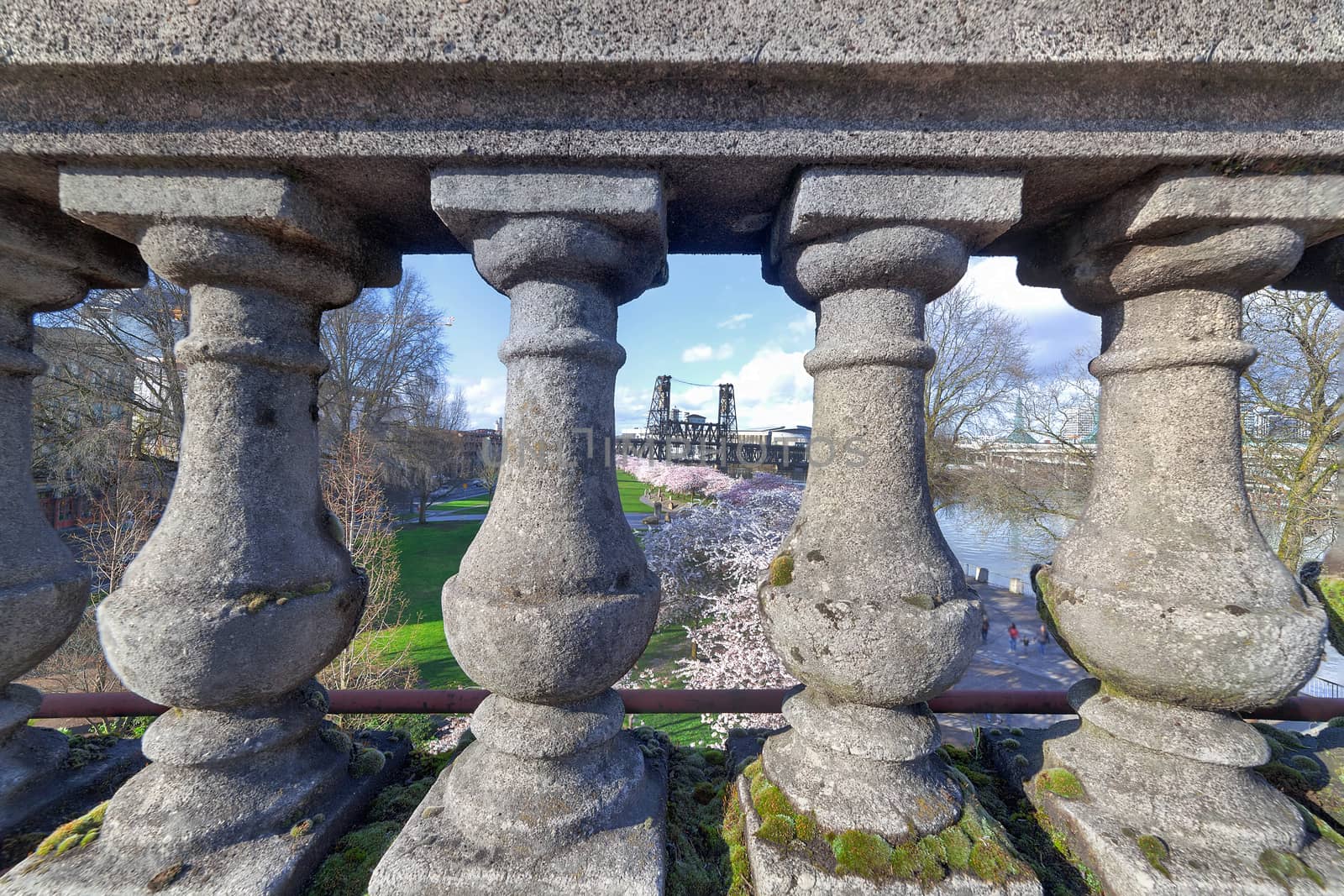 View of Cherry Blossoms Trees through the stone baluster on Burnside Bridge in Portland Oregon during Spring