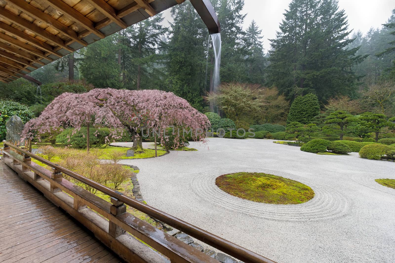 Rainy Day at Japanese Flat Garden by jpldesigns