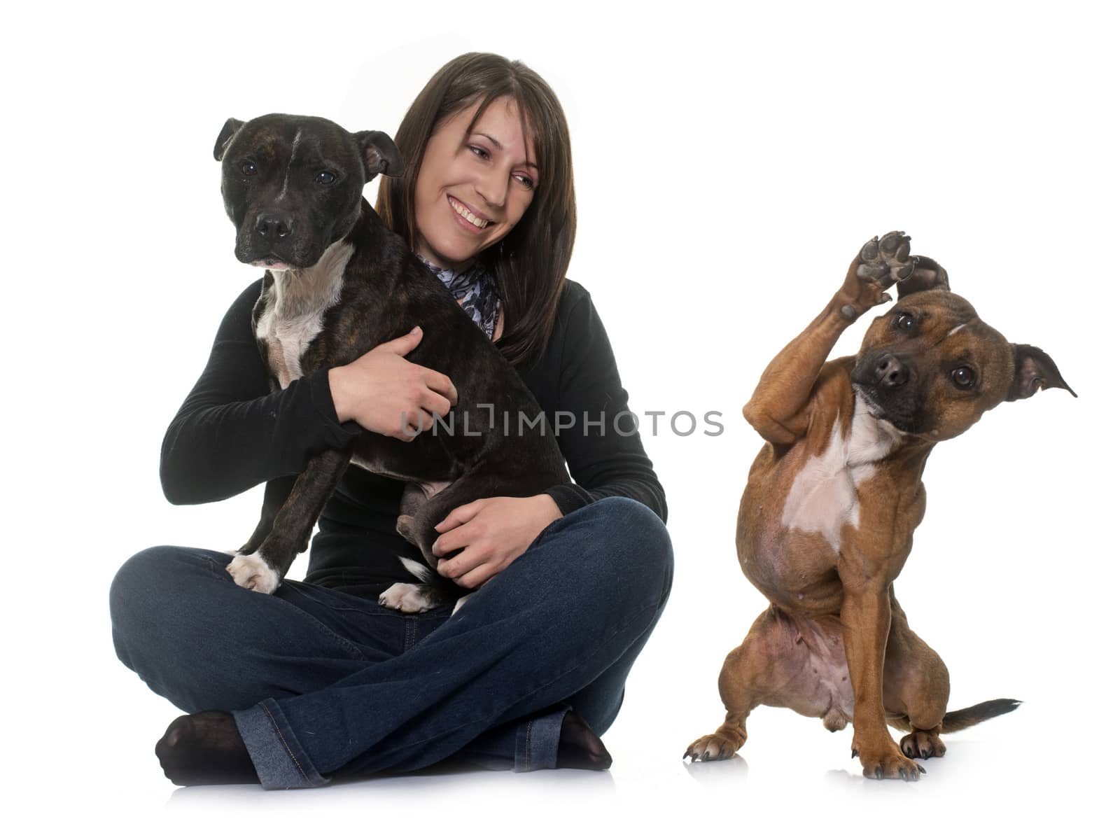 woman and staffordshire bull terrier by cynoclub