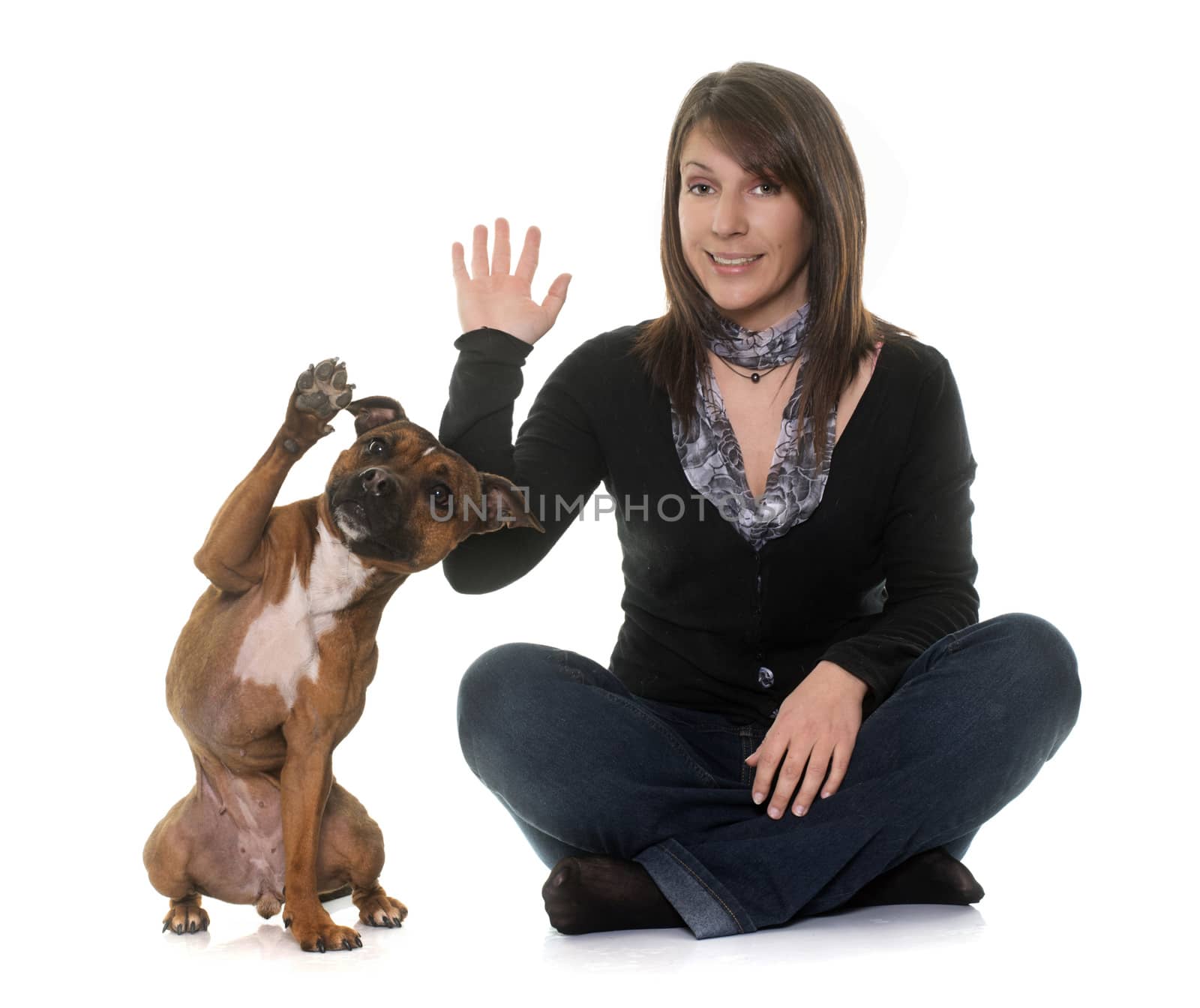 woman and staffordshire bull terrier by cynoclub