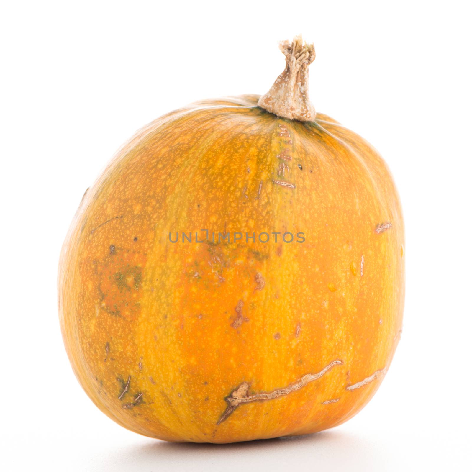 Pumpkin isolated on white background