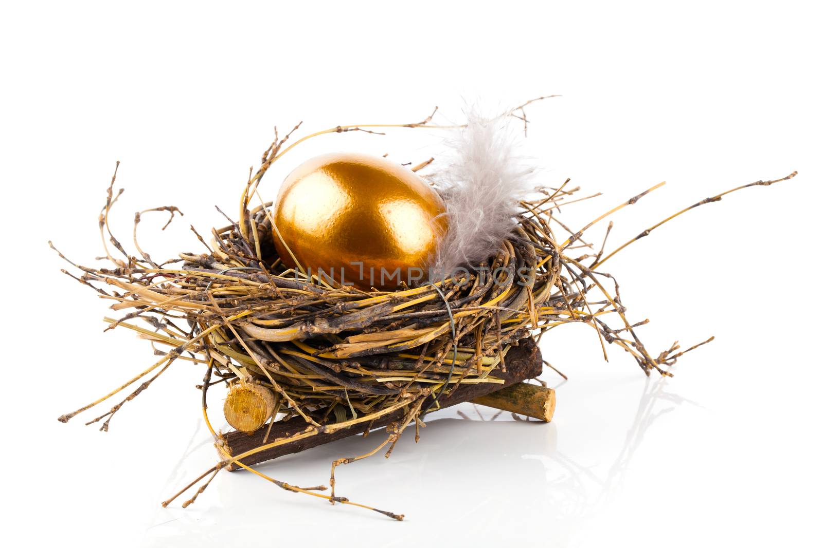 Golden egg in nest on white background