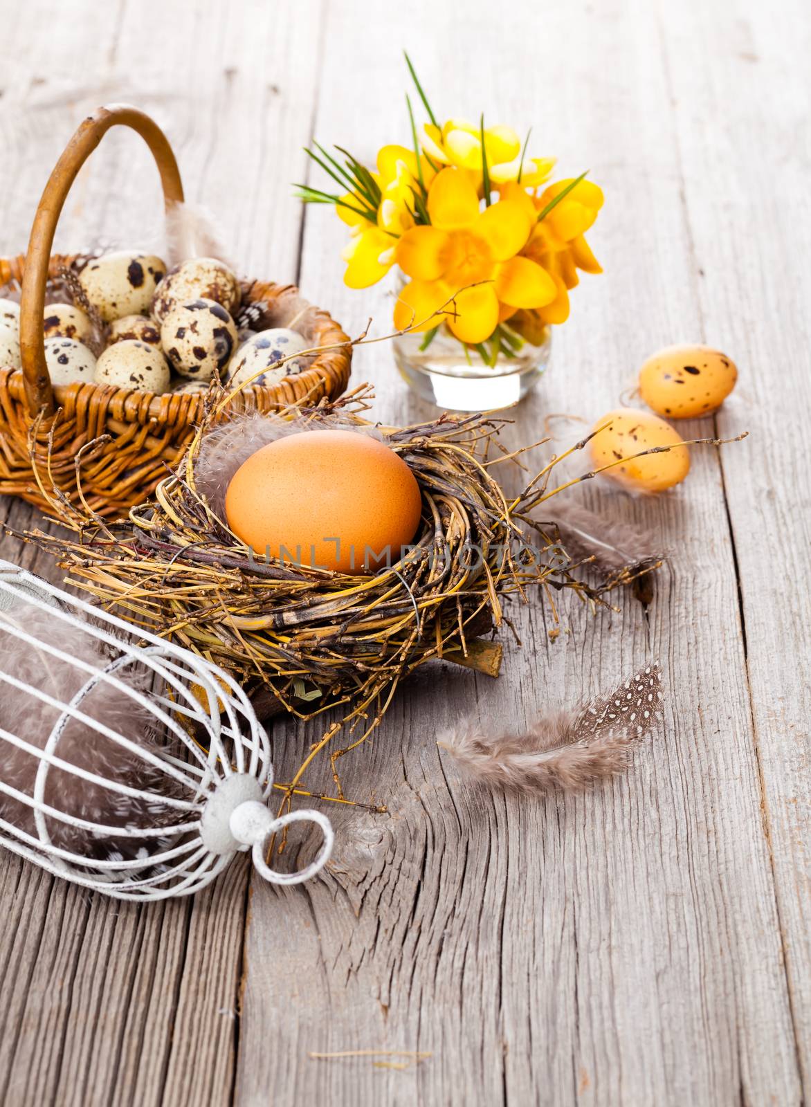 Easter eggs nest with birdcage, on white wooden background