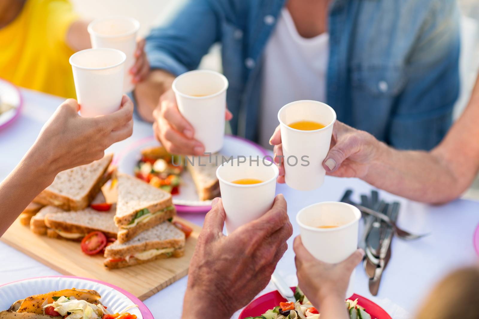 Family having a picnic and toasting  by Wavebreakmedia