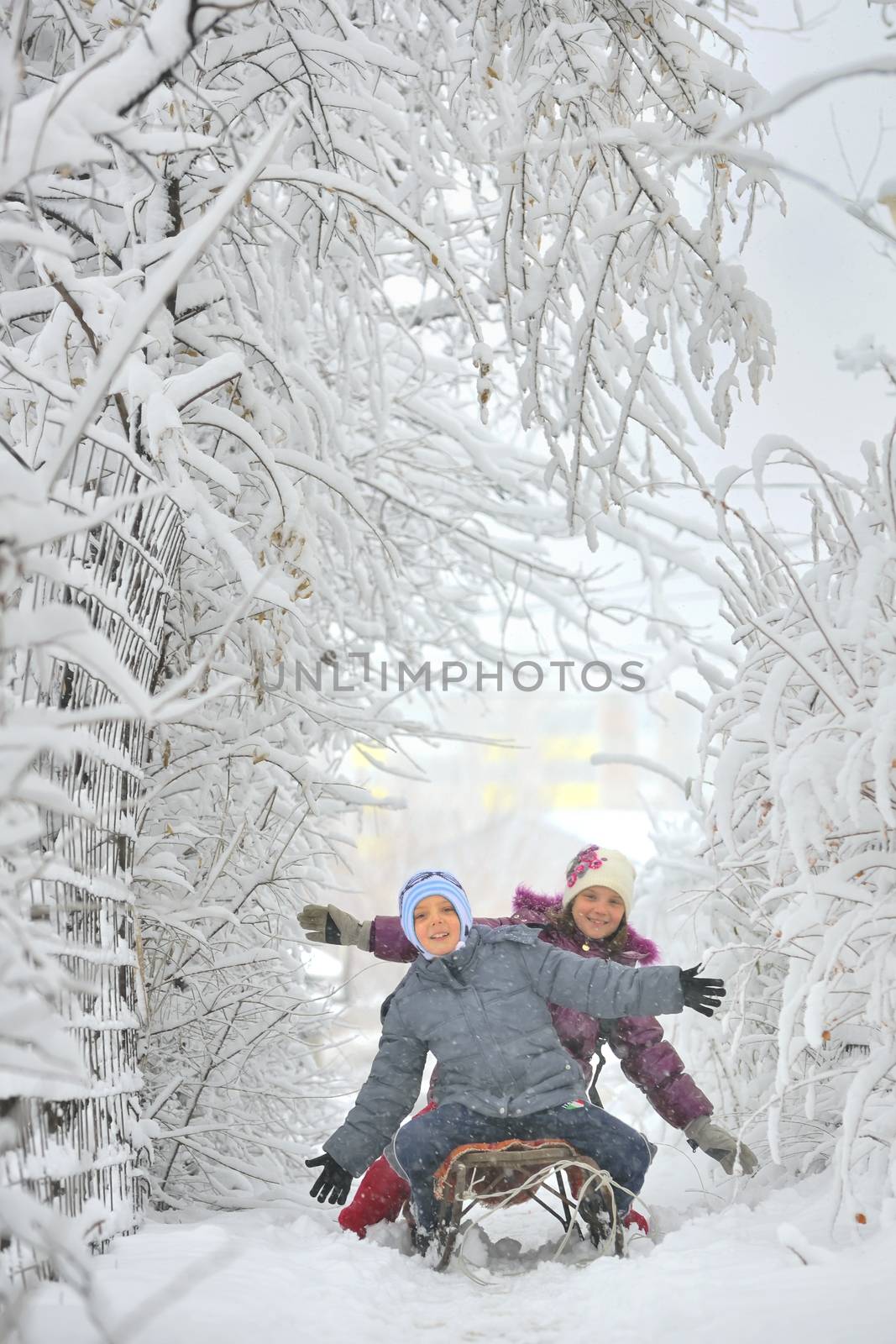 Boy and girl at sledging by mady70