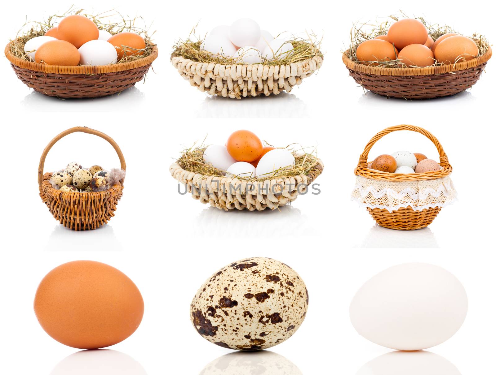 set of eggs on a white background by motorolka