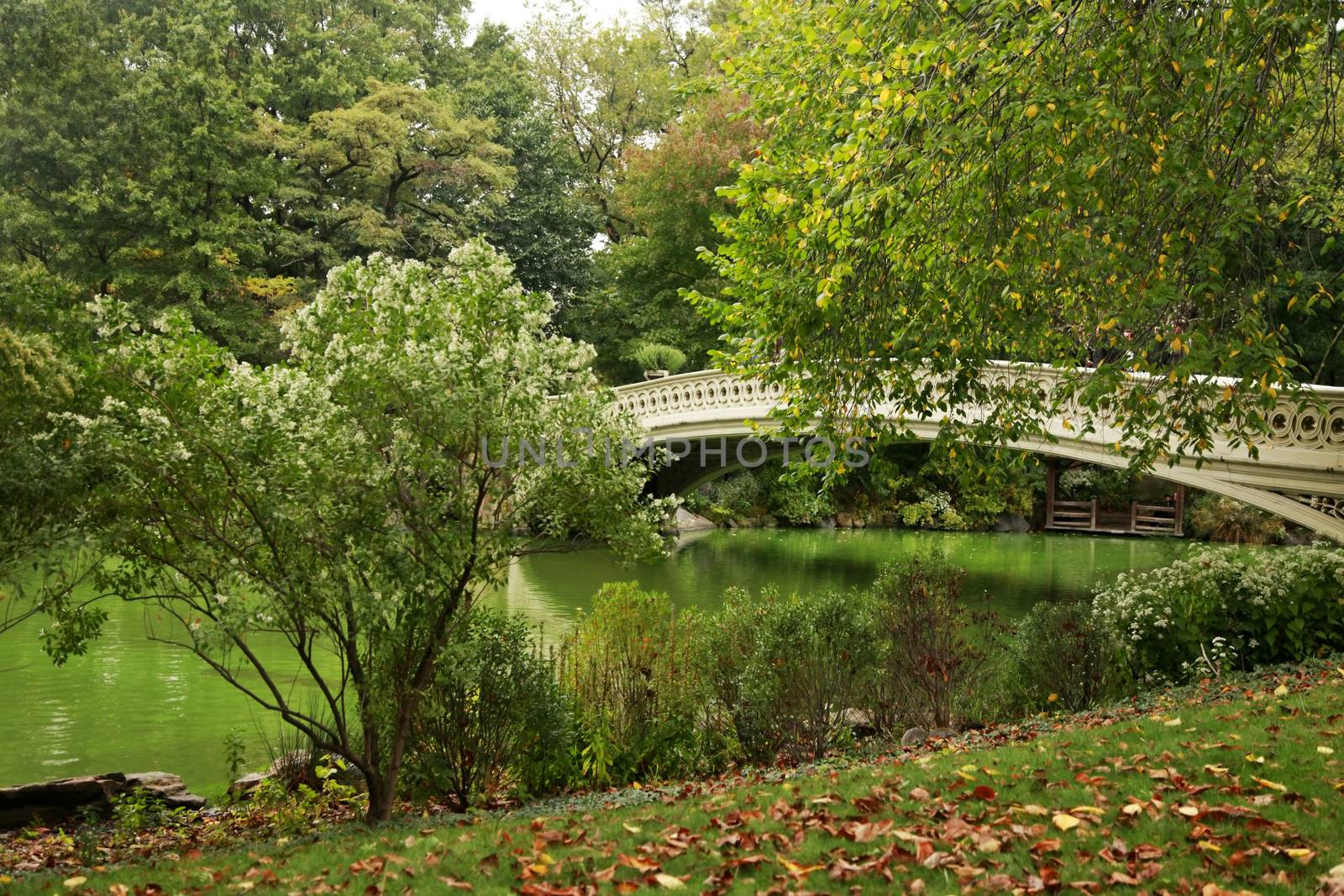 Bridge in park, Central Park, New York City, New York, USA