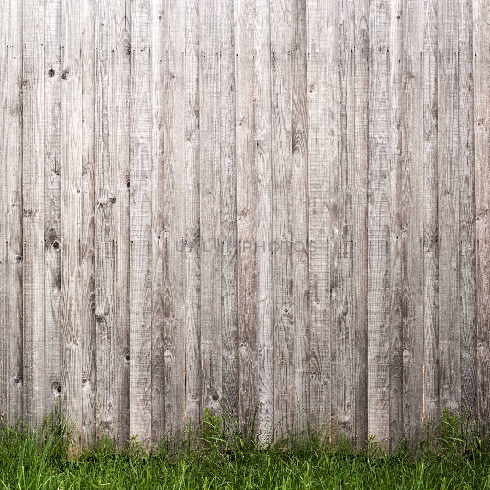 grey wooden plank wall and grass  background