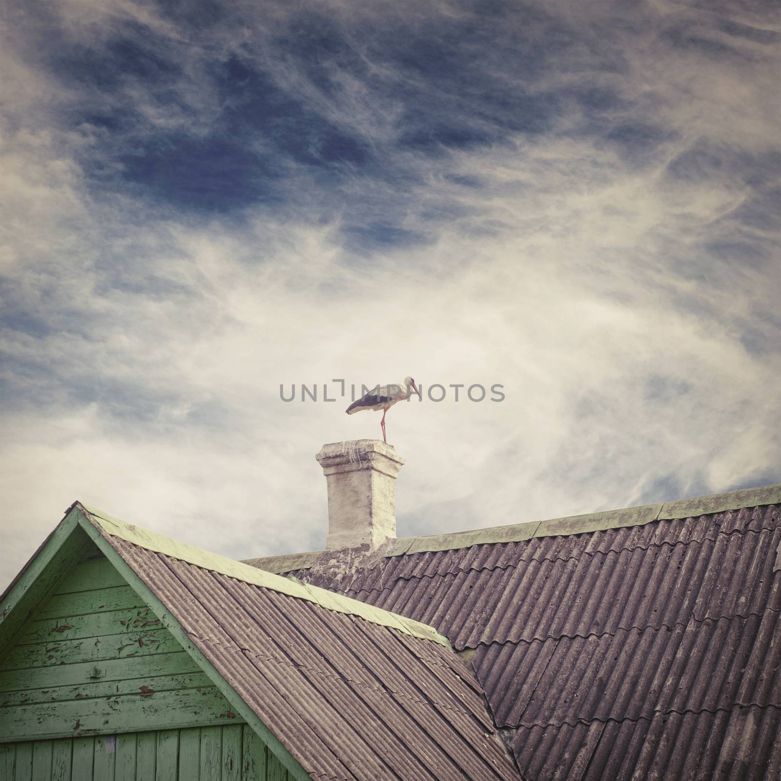 Stork standing on a chimney of old house with a tiled roof, dramatic blue sky background