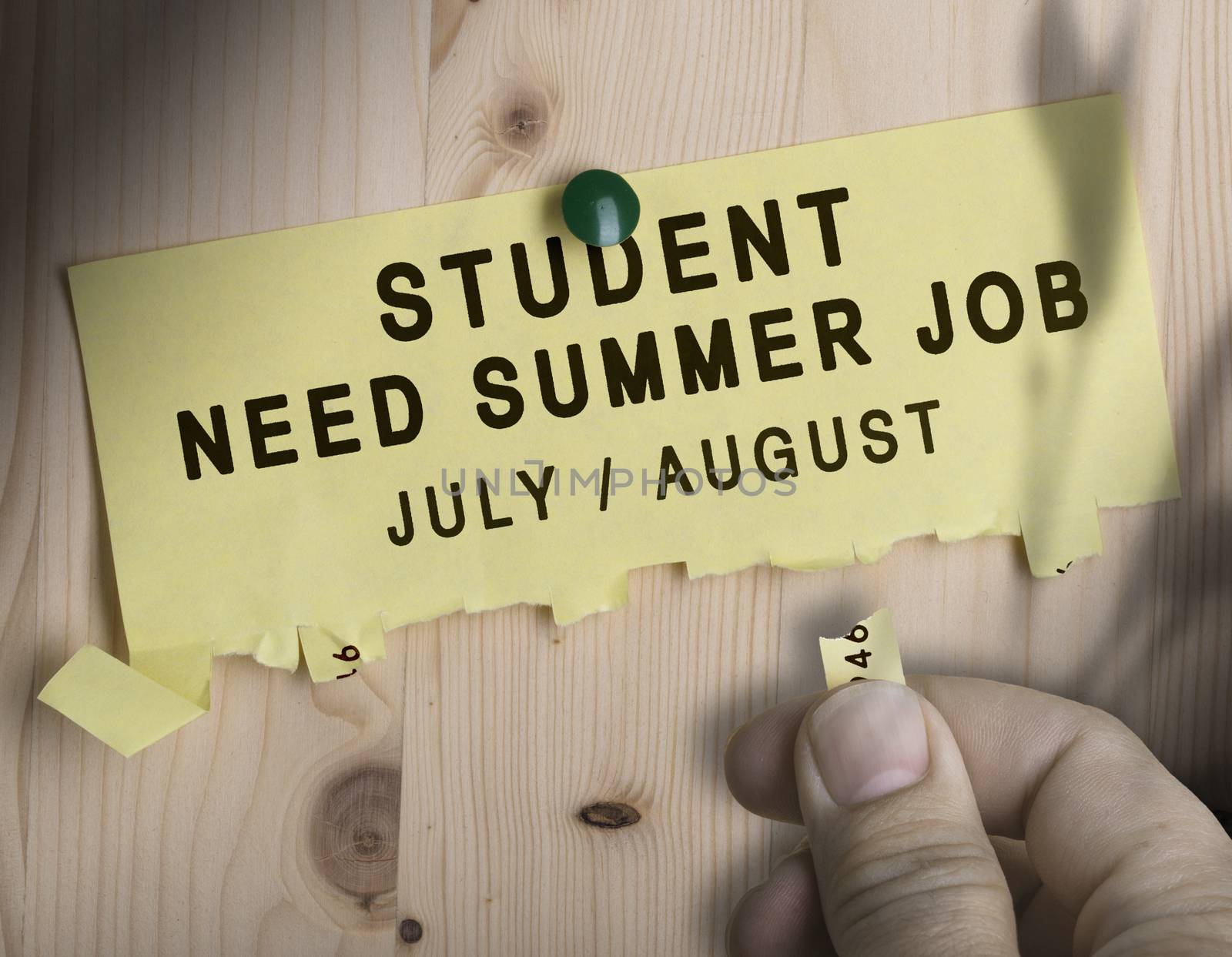 Tear off not with the text student need summer job over wooden background