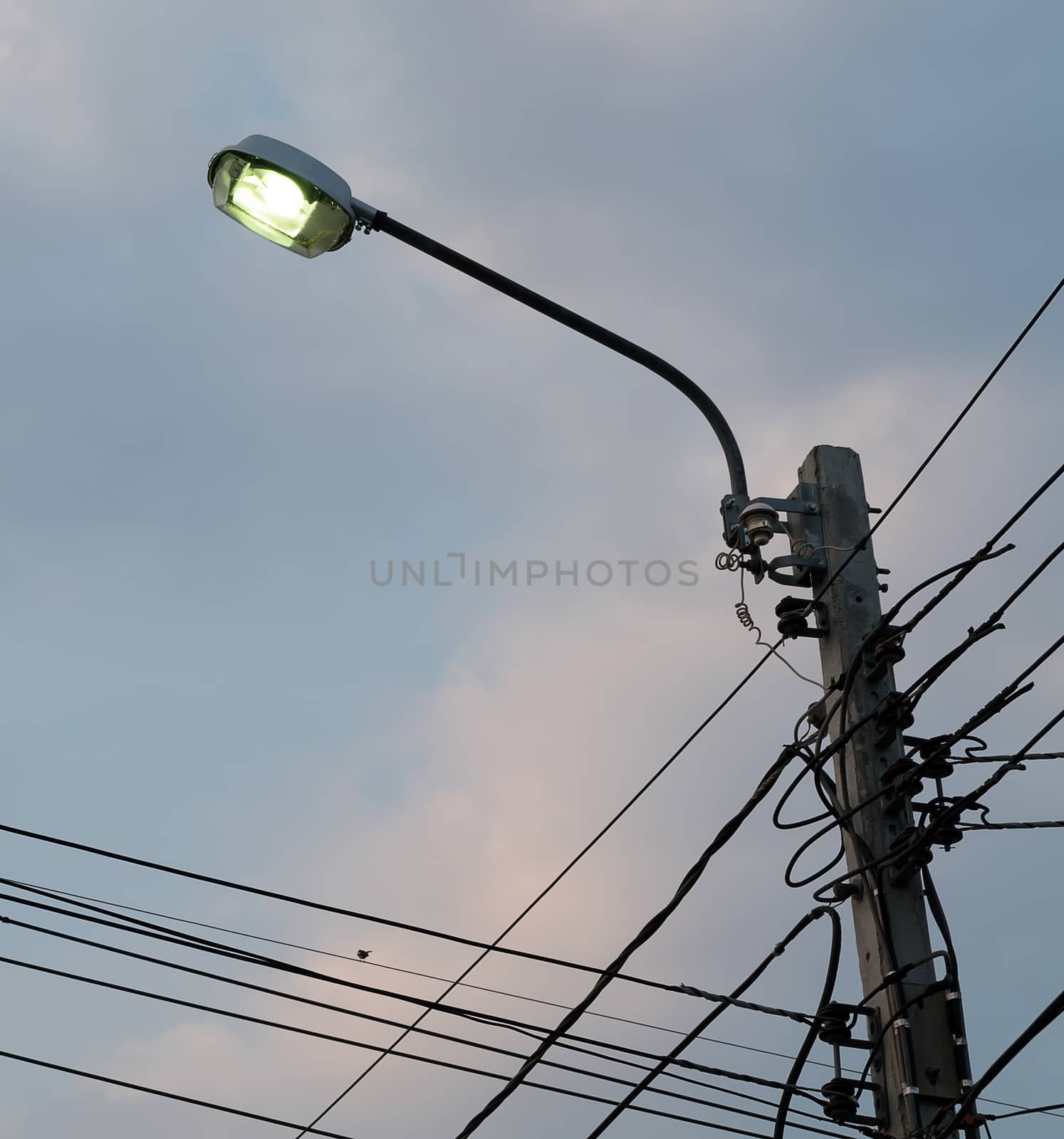 Electric Street lamp at dawn  by suthee