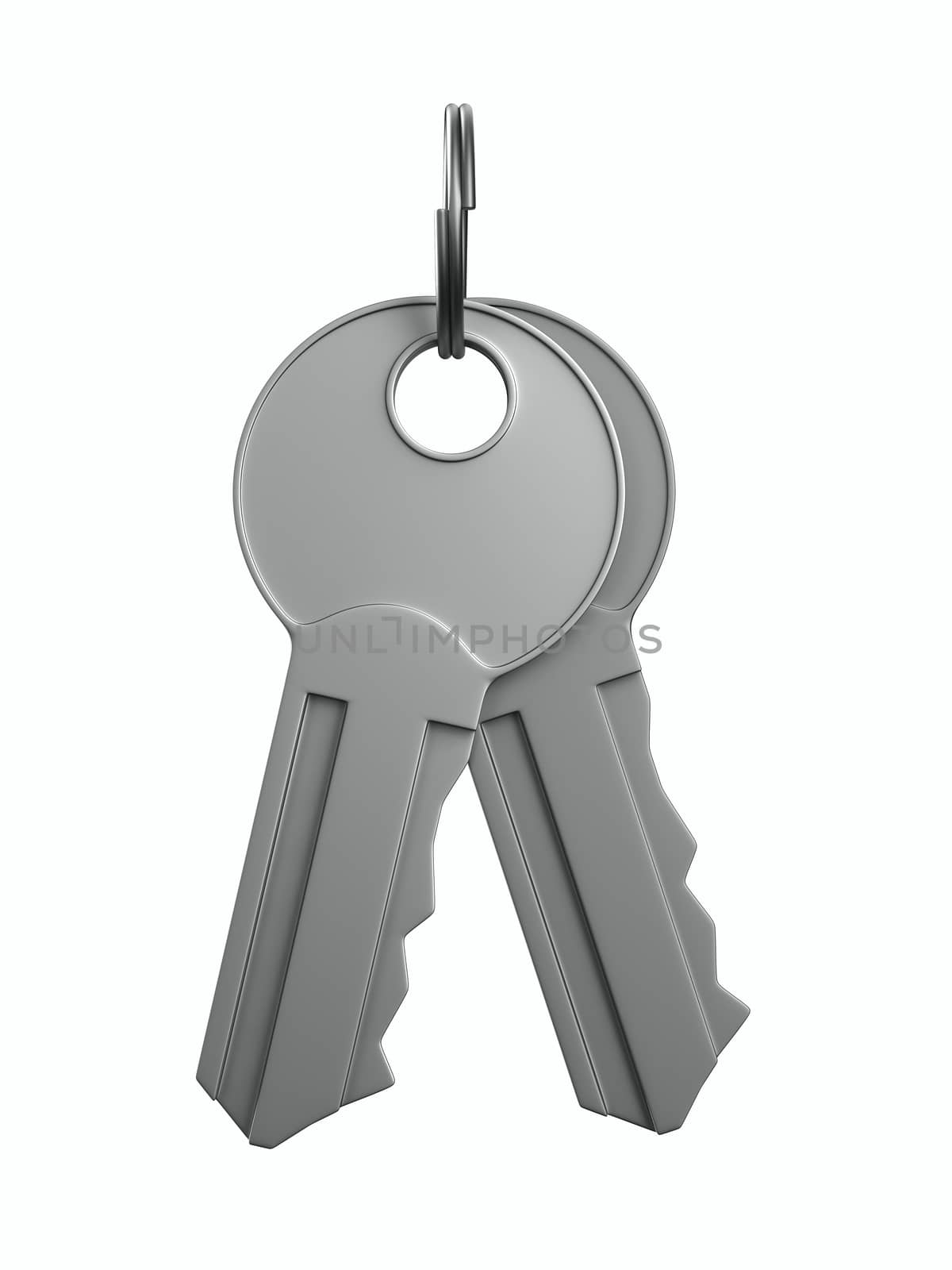 Isolated key on white background. 3D image