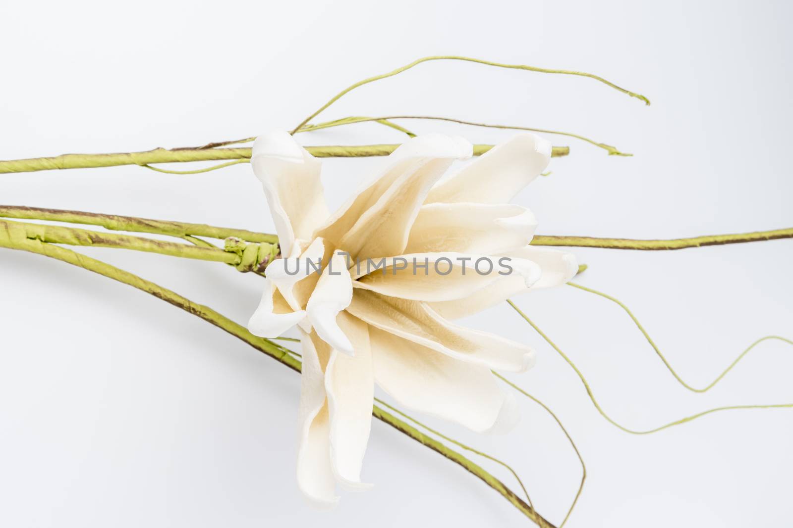 Elegant spring flower, fake gardenia on white background. For wedding background image.