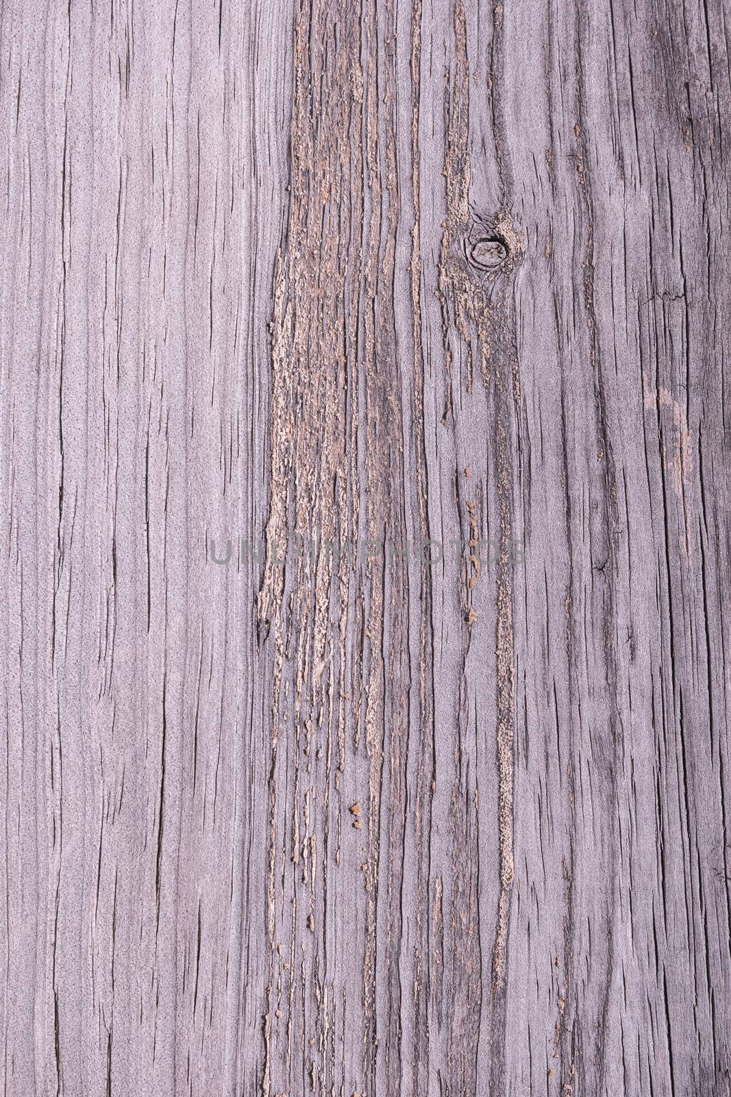 Wood background by AnaMarques