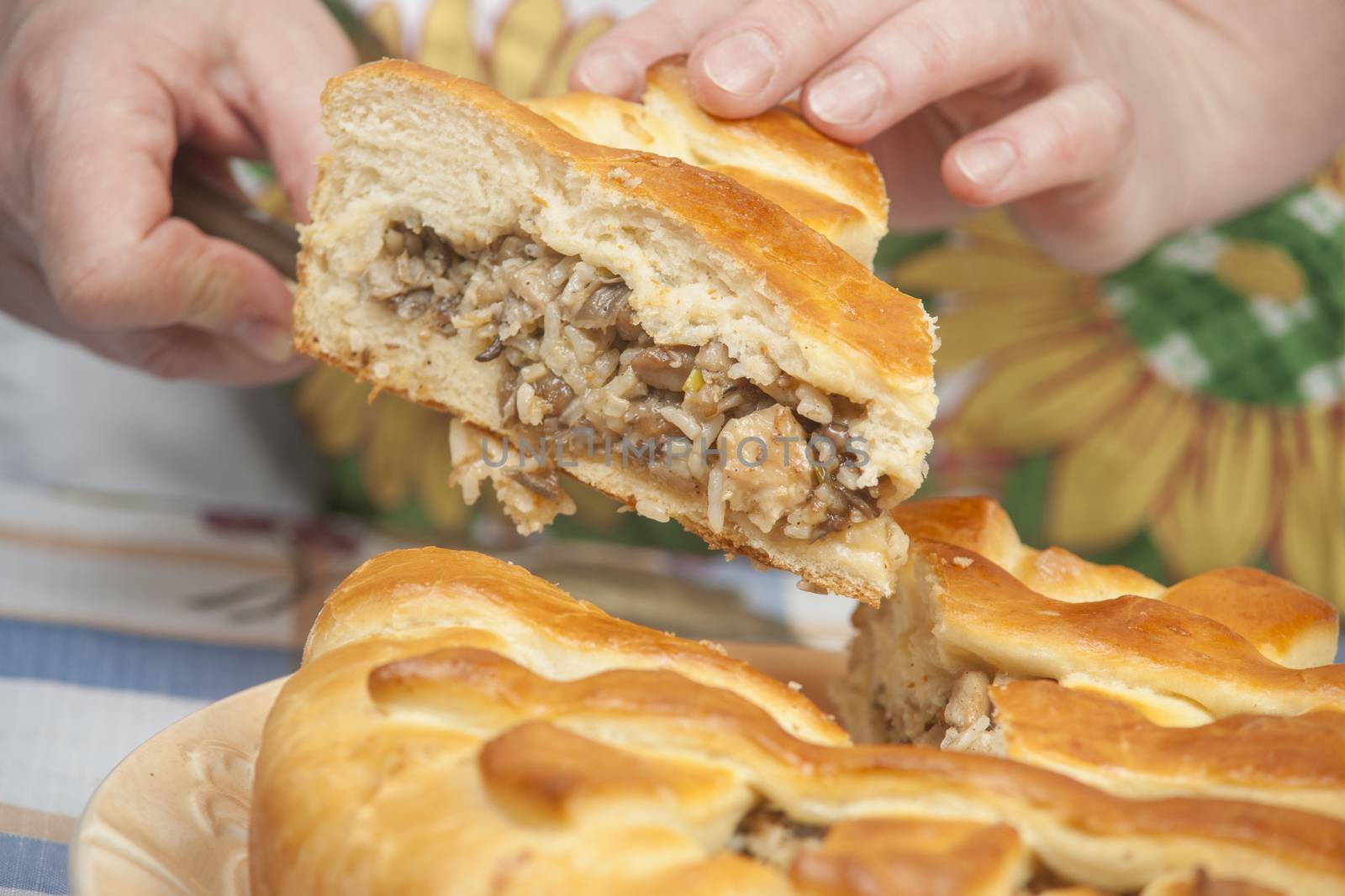 Cutting tasty pie with filling on the plate by kozak