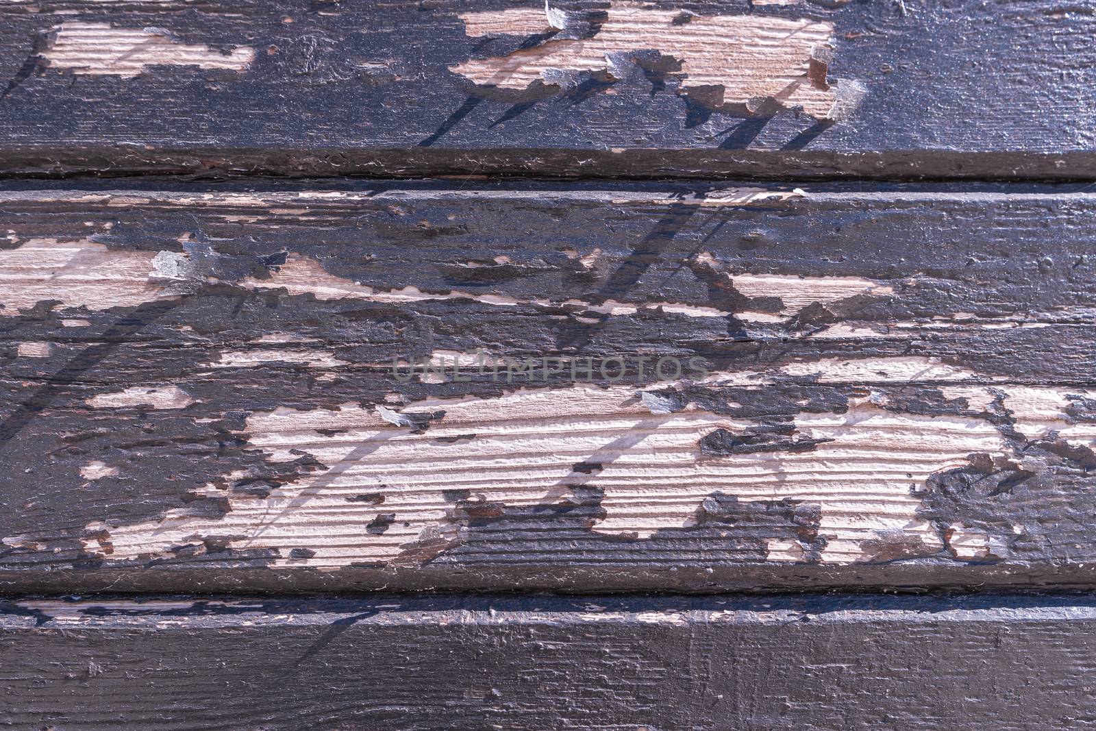 Rustic weathered barn wood background. grunge wall, highly detailed textured background