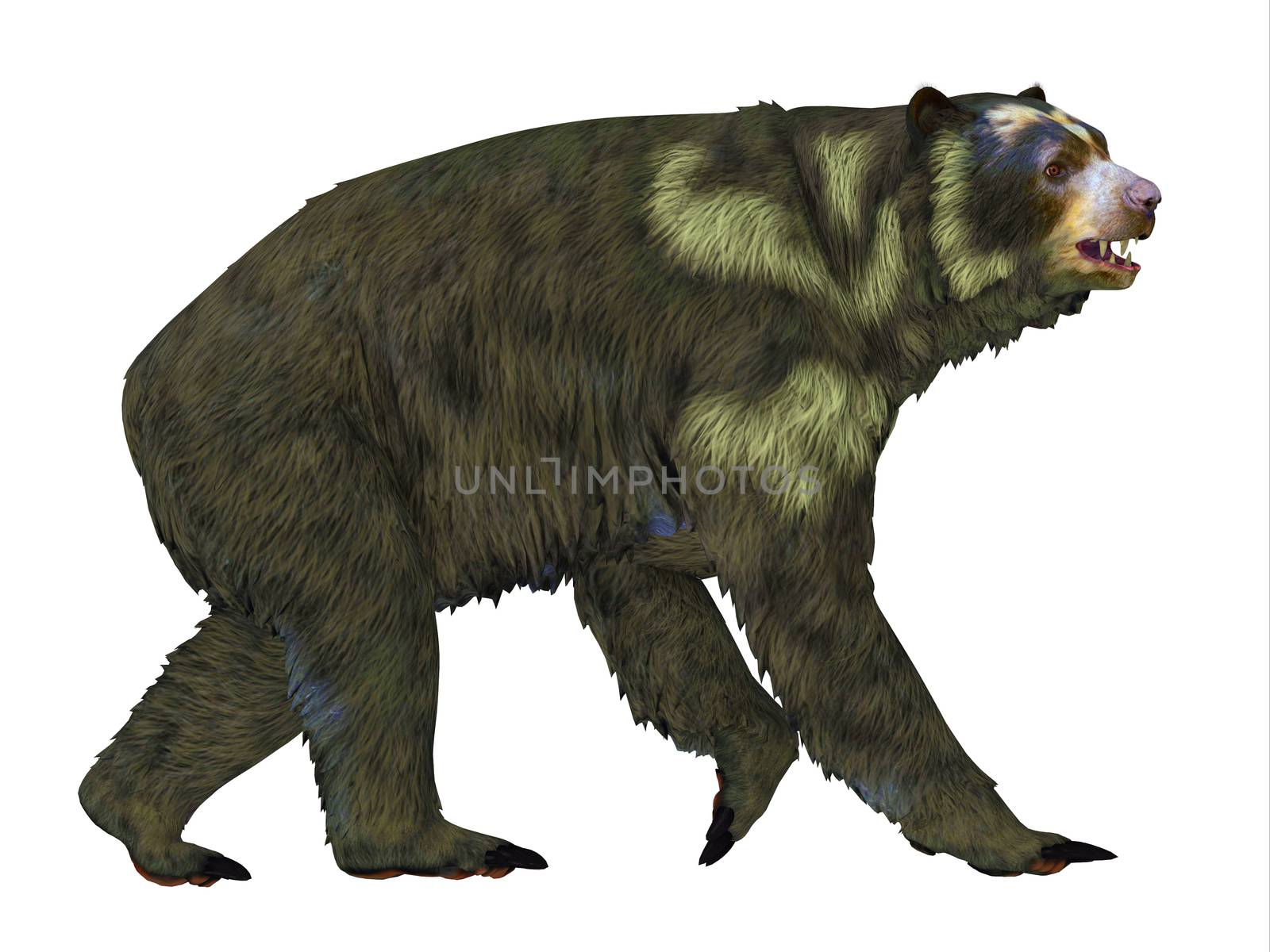 Arctodus Bear Side Profile by Catmando