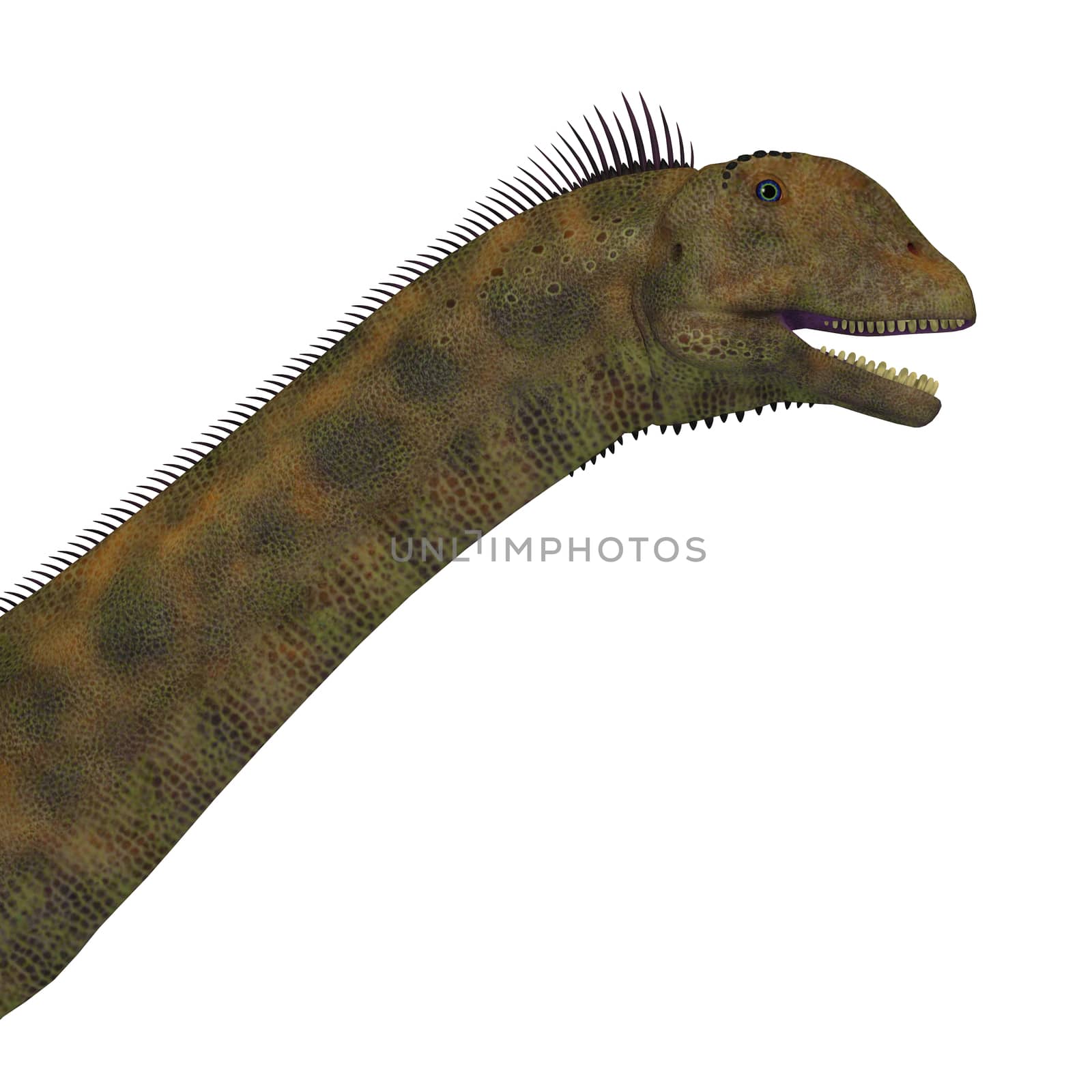 Atlasaurus Dinosaur Head by Catmando