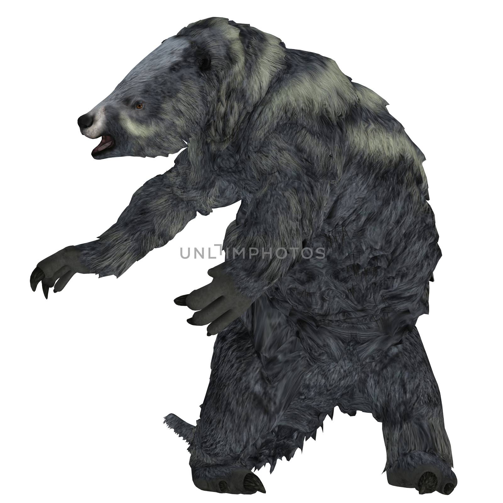 Eremotherium was one of the largest ground sloths that lived in North and South America in the Pleistocene Period.