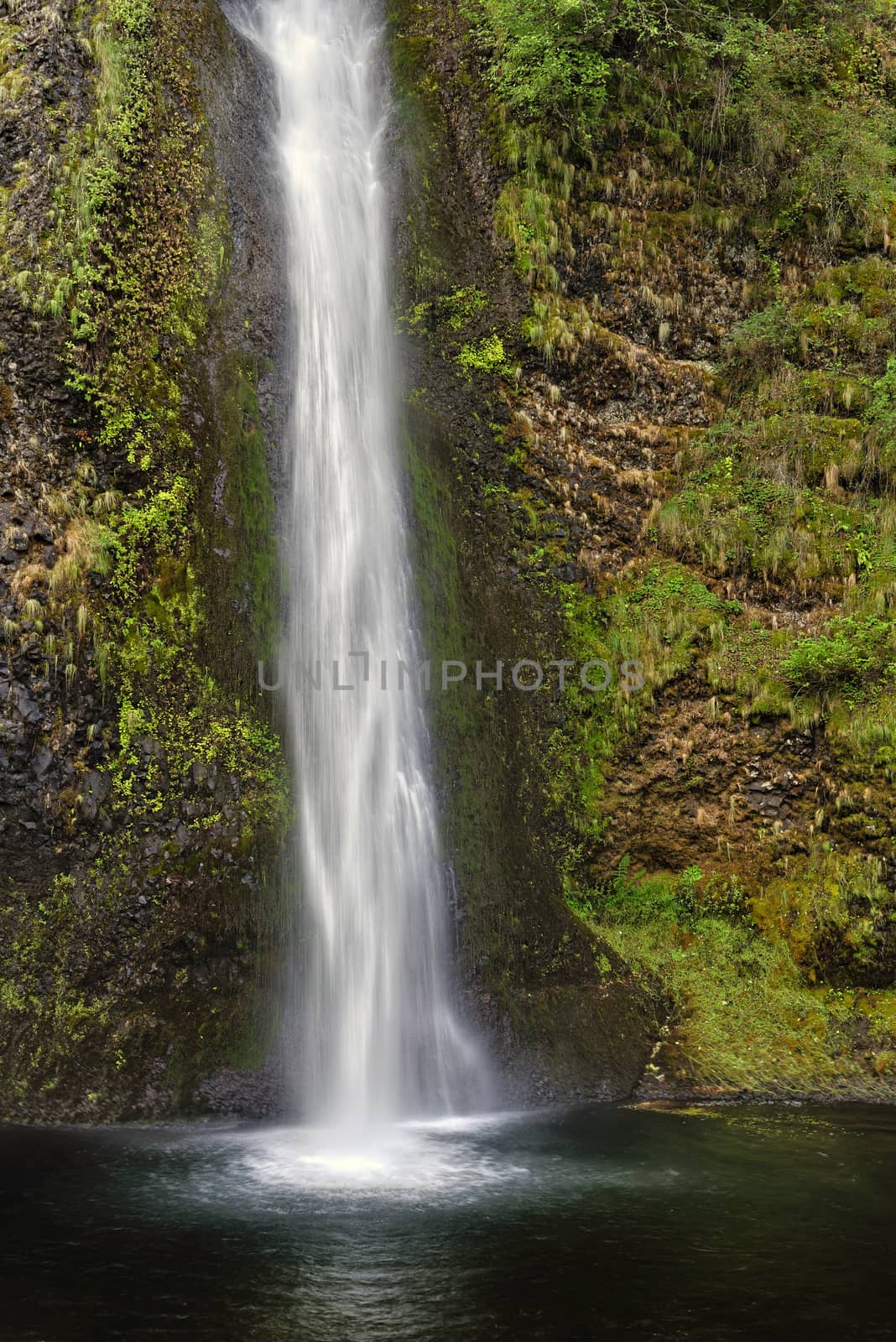 The Columbia River Gorge is a canyon of the Columbia River in the Pacific Northwest of the United States. Up to 4,000 feet (1,200 m) deep, the canyon stretches for over 80 miles (130 km) as the river winds westward through the Cascade Range forming the boundary between the State of Washington to the north and Oregon to the south. The area is famous for its many waterfalls.