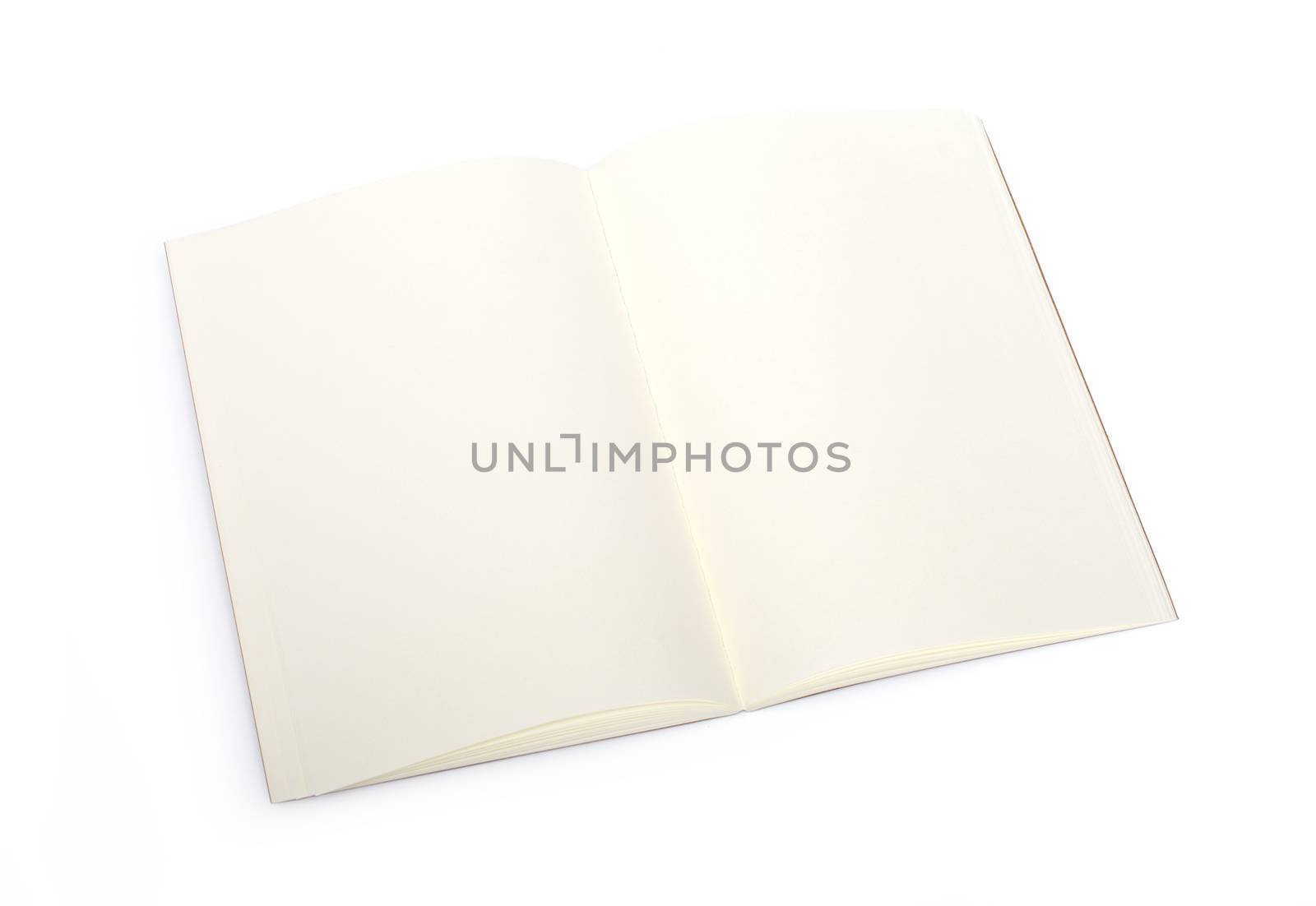 Opened blank book with clipping path by DNKSTUDIO