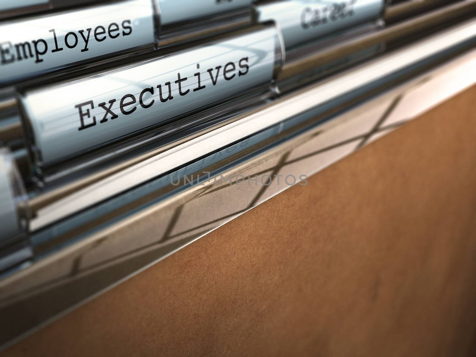 word executive written on a folder with perspective view and blur effect