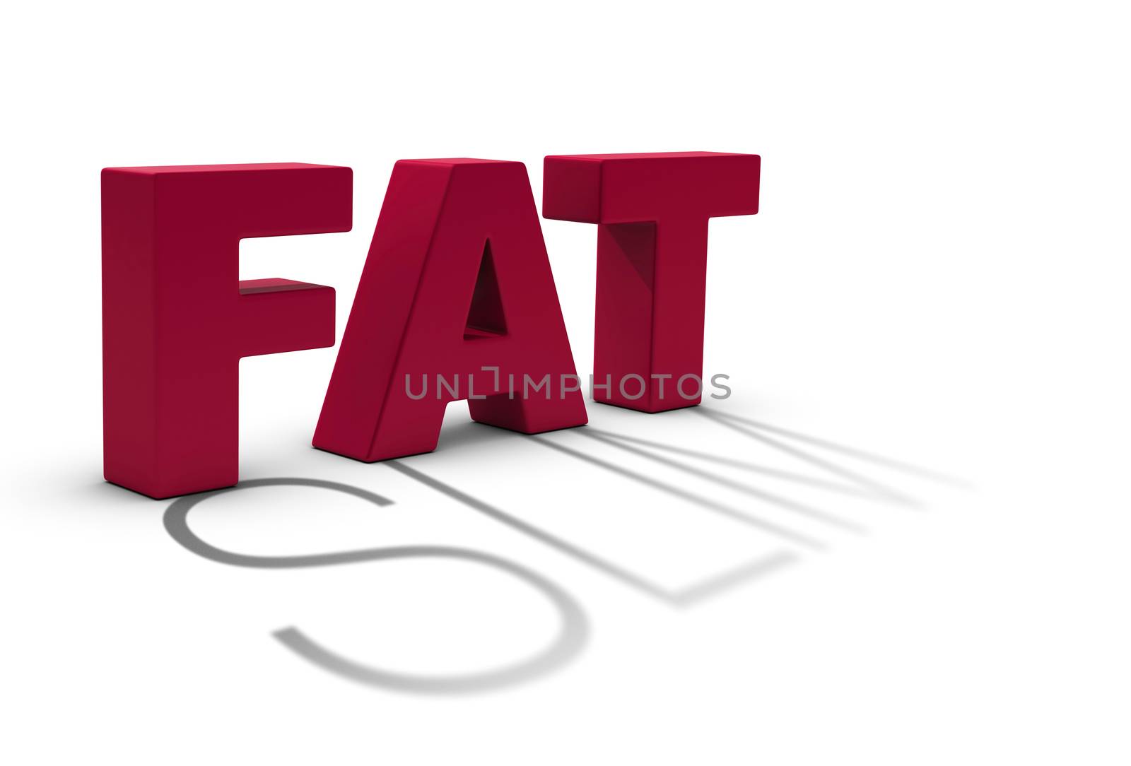 Word fat and a slim shadow over white background