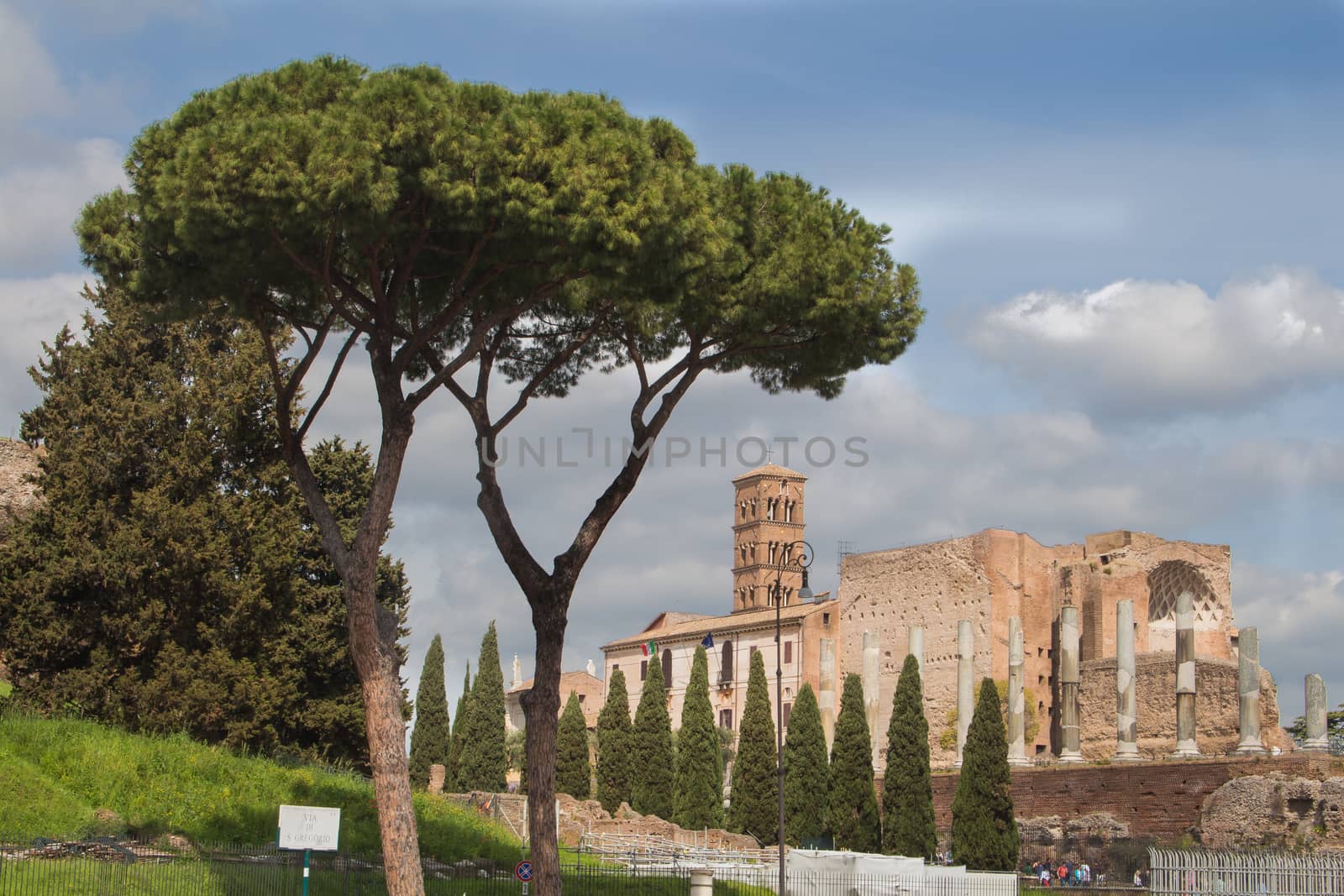 View from Colosseum on Palatino. Trees in the foreground. Intense clouds on the blue sky.