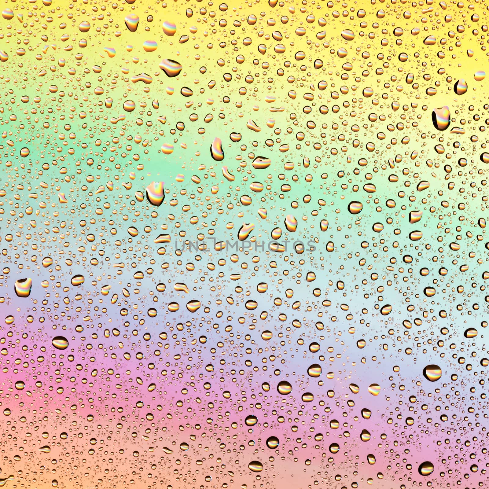 Colored drops on a rainbow background by Gaina