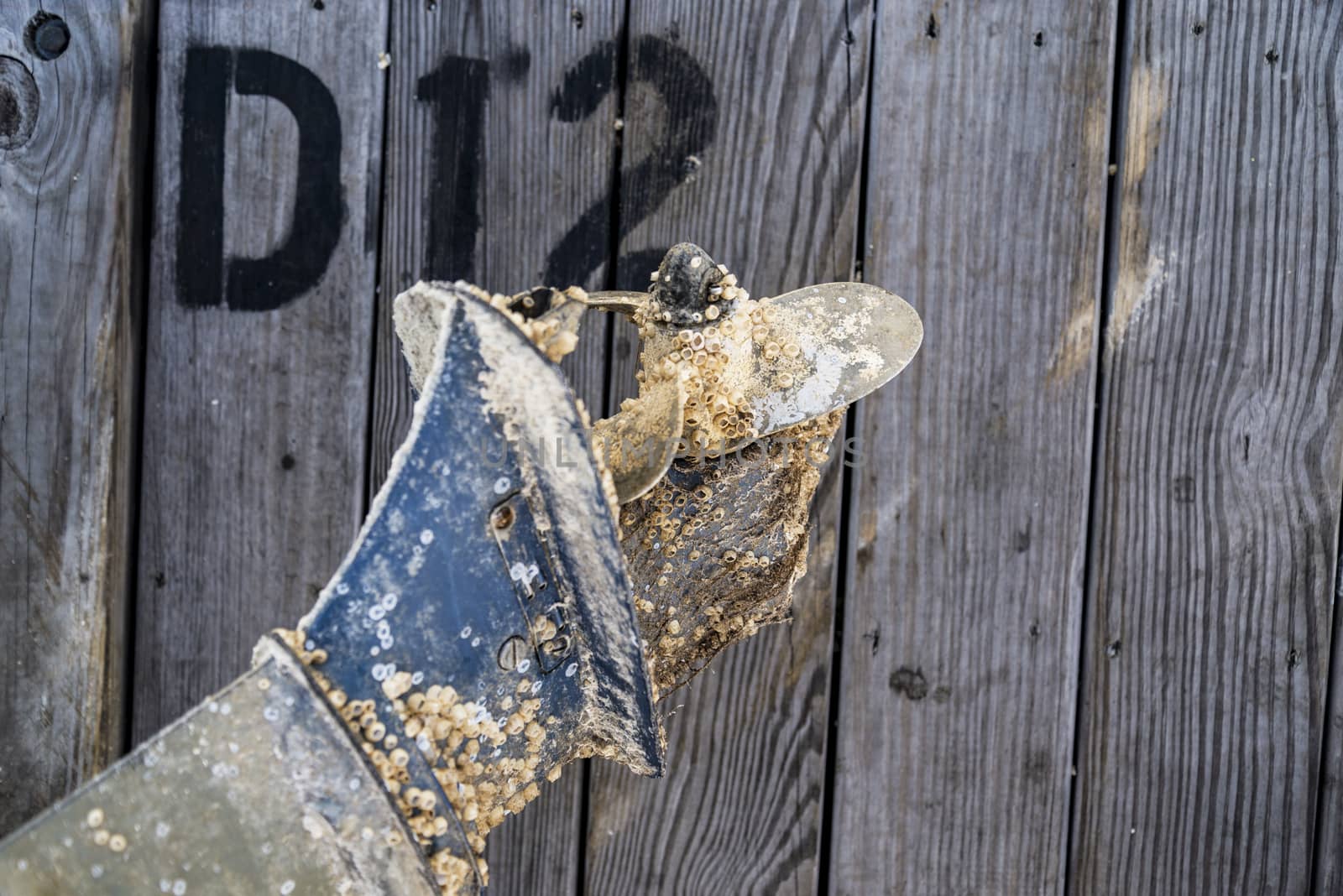 rusty and dirty ocean boat propeller helix