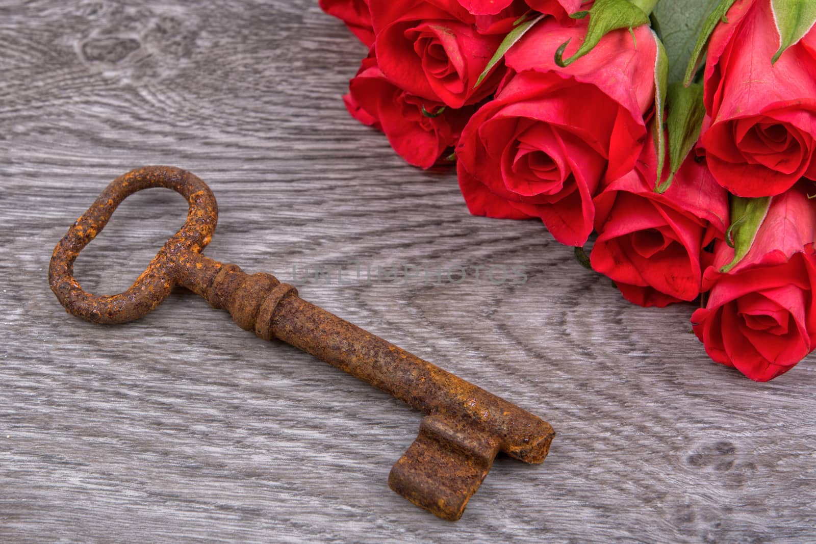Rusty key and red roses on a wooden background