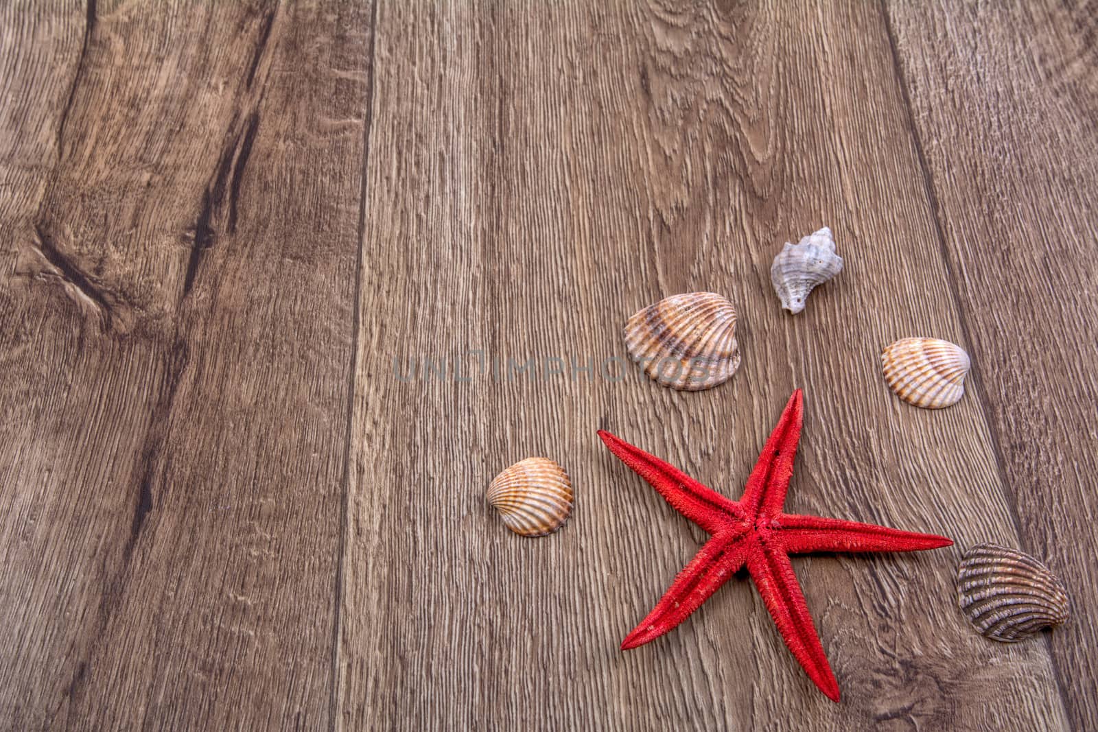 Red starfish and sea shells on a wooden background