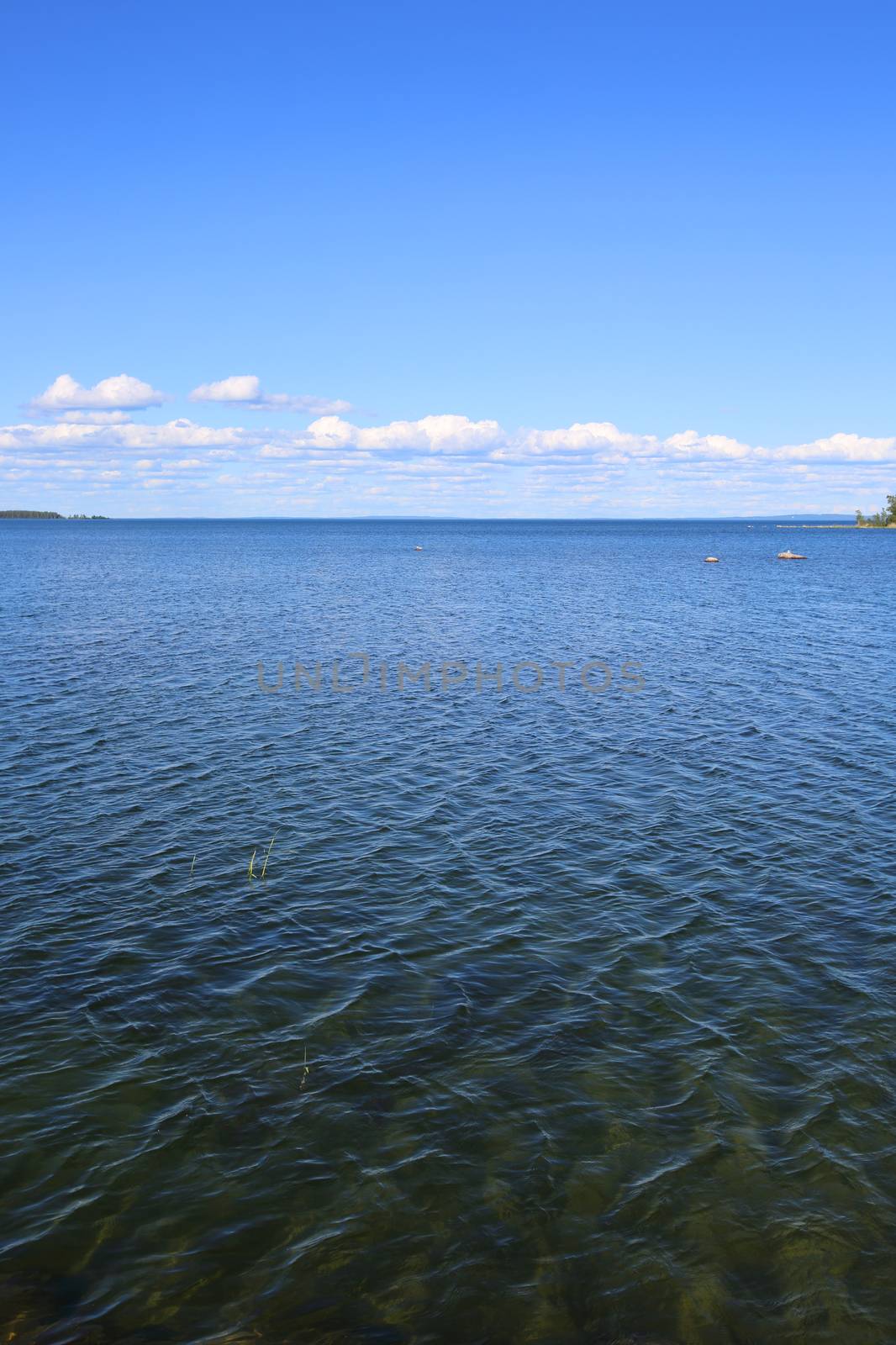 Beautiful view on lake Vattern with clear clean water in Sweden
