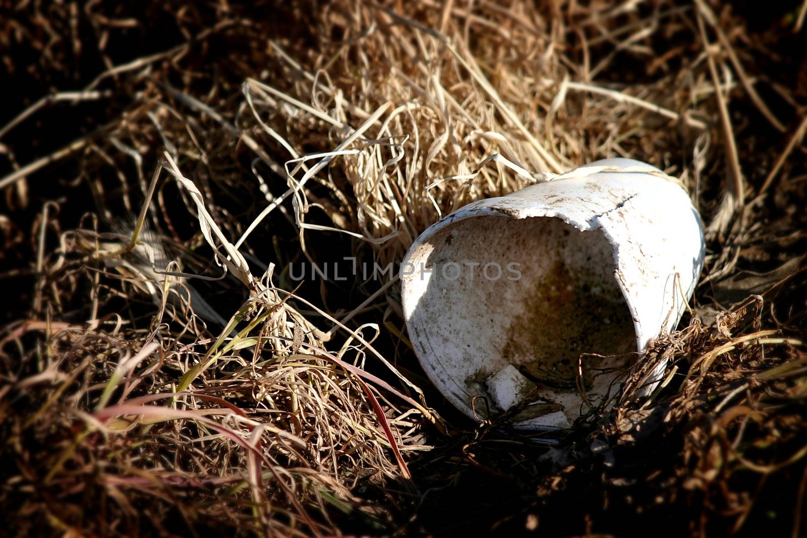 A garbage cup in old dead grass.