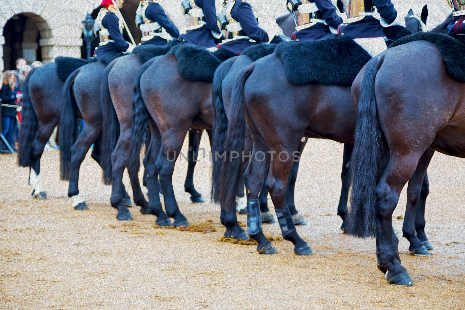 in london england horse and cavalry for       the queen