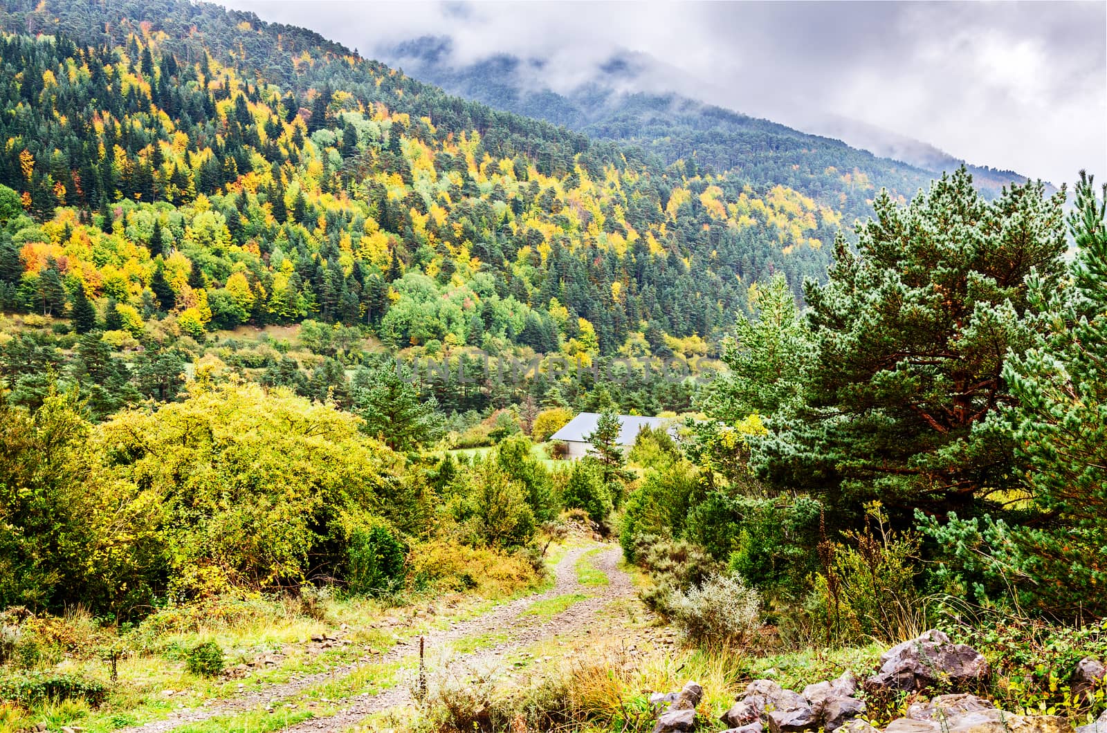 Very beautiful autumn into the Pyrenees mountains in Spain