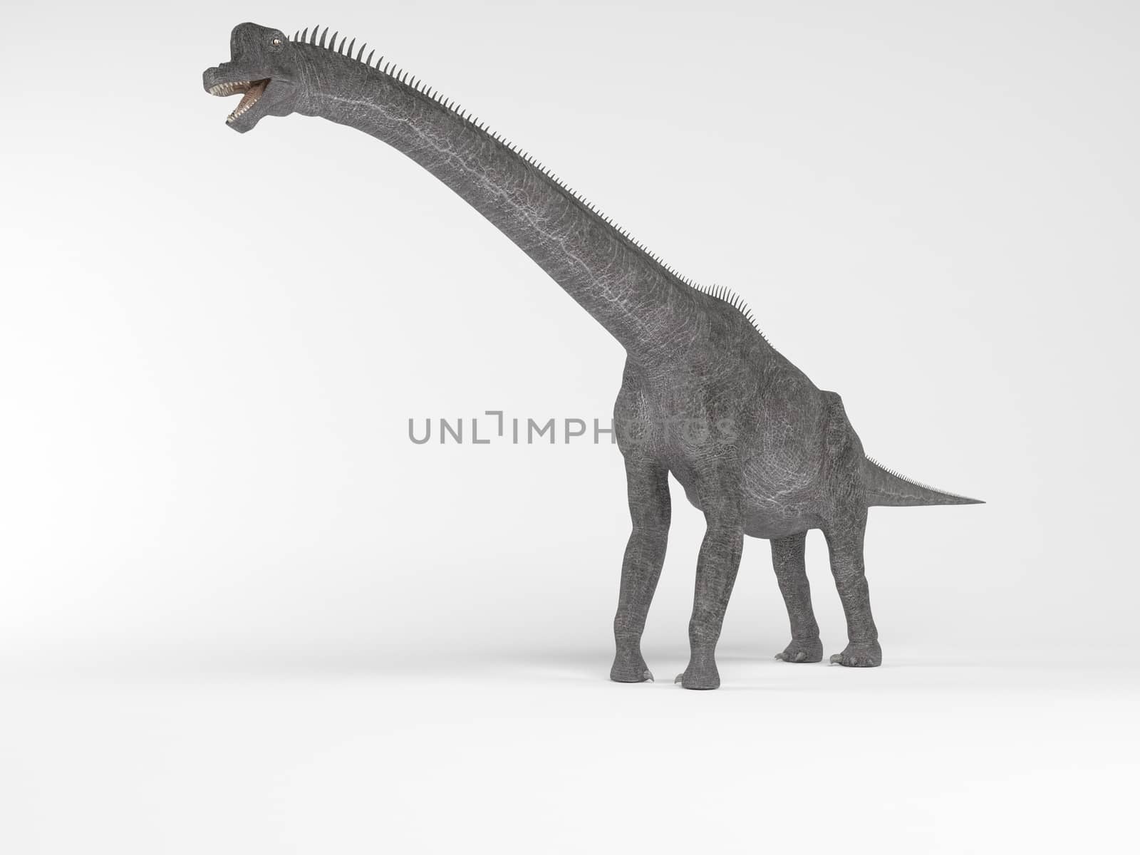 3d render of a Dinosaur inside a white stage by fares139