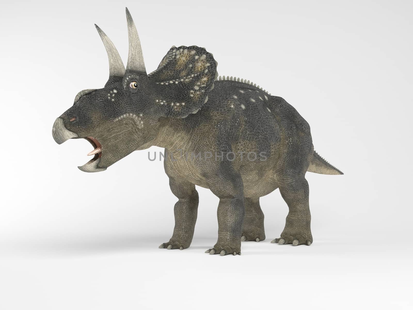 3d render of a Dinosaur inside a white stage by fares139