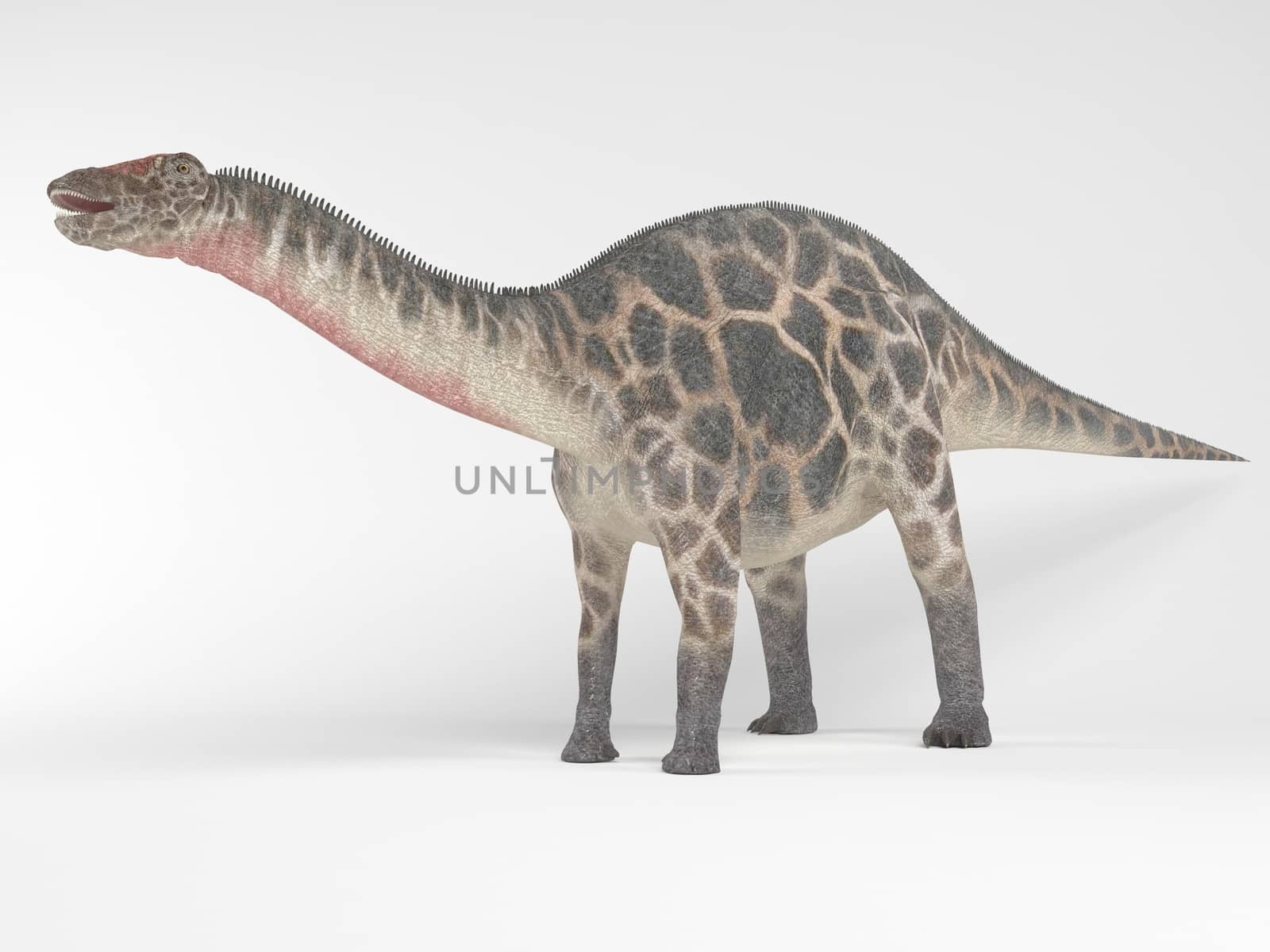 3d render of a Dinosaur inside a white stage by fares139